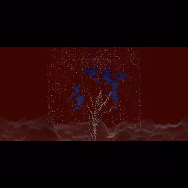 abhāva #29