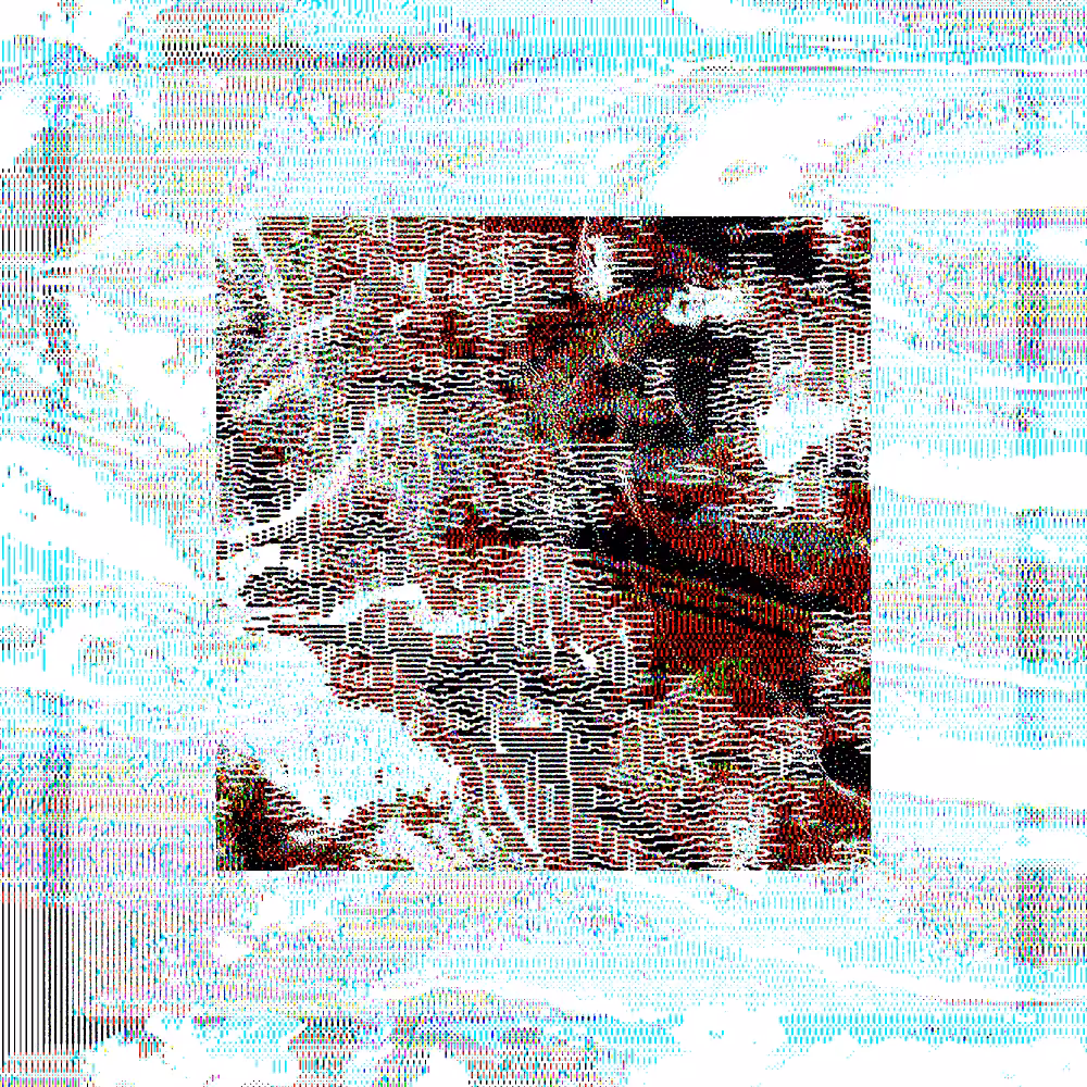 CHX-1 #81