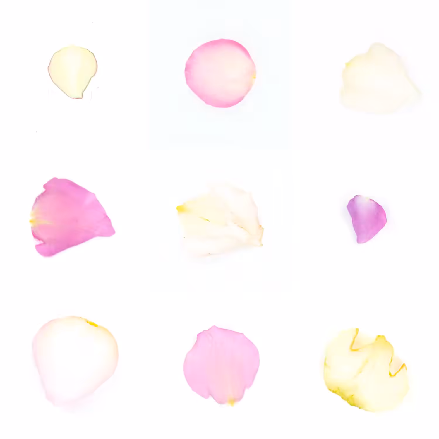 Infinite Petals 3x3#1525