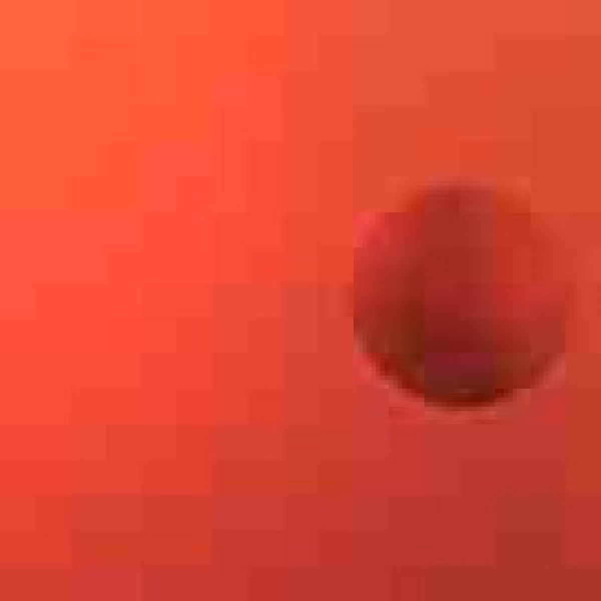Orbit 555888342