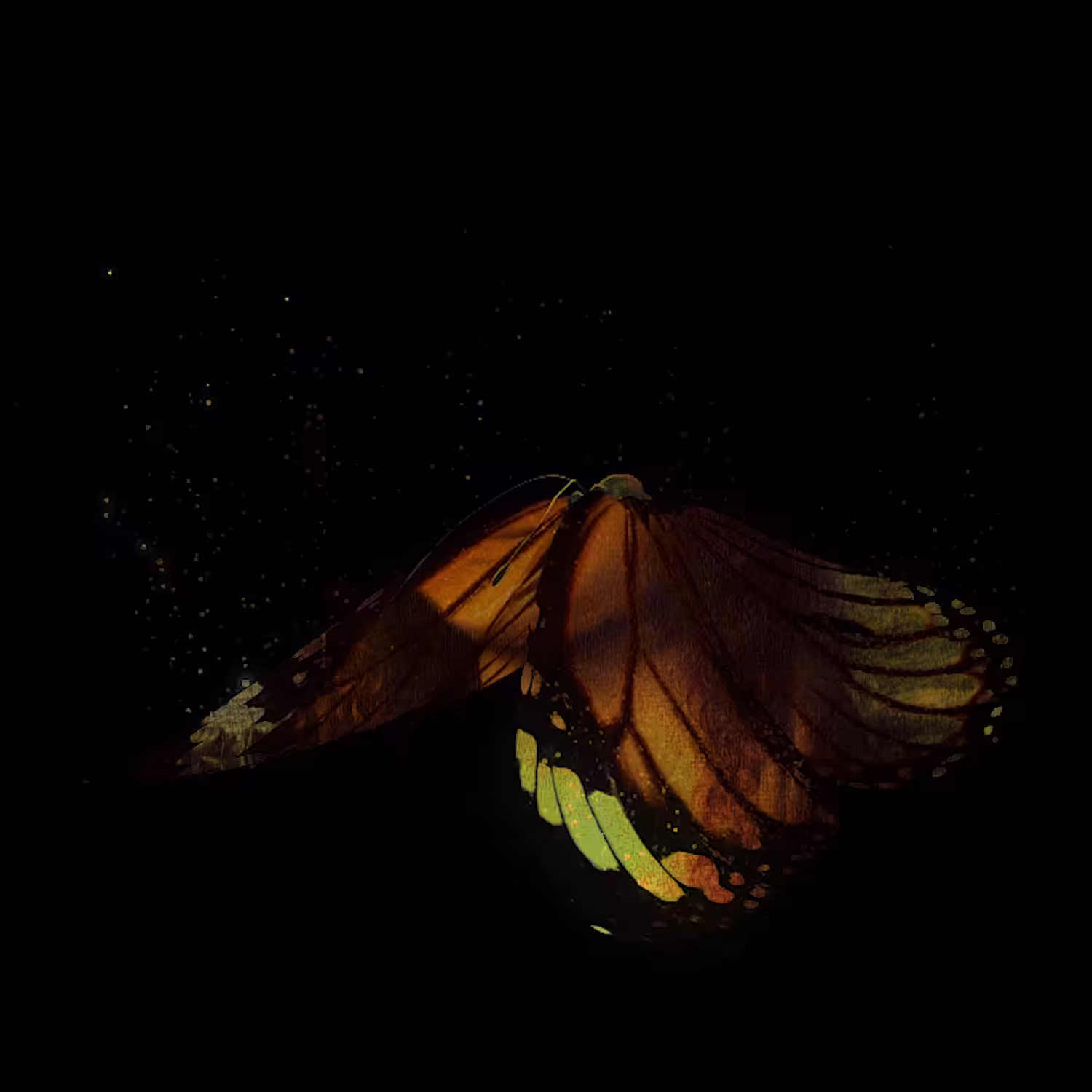 Butterfly Mona