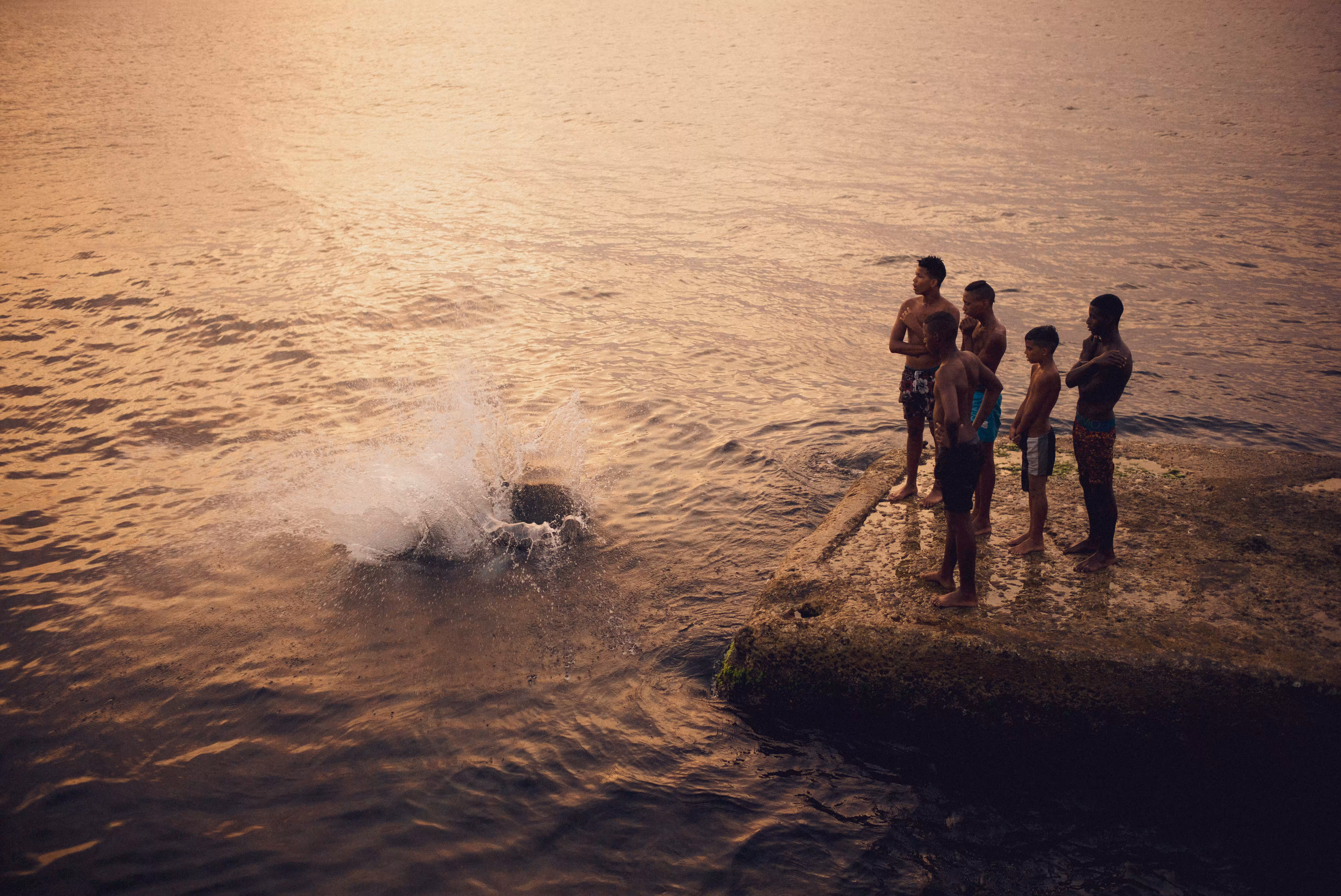 SWIMMING WITH SHARKS
