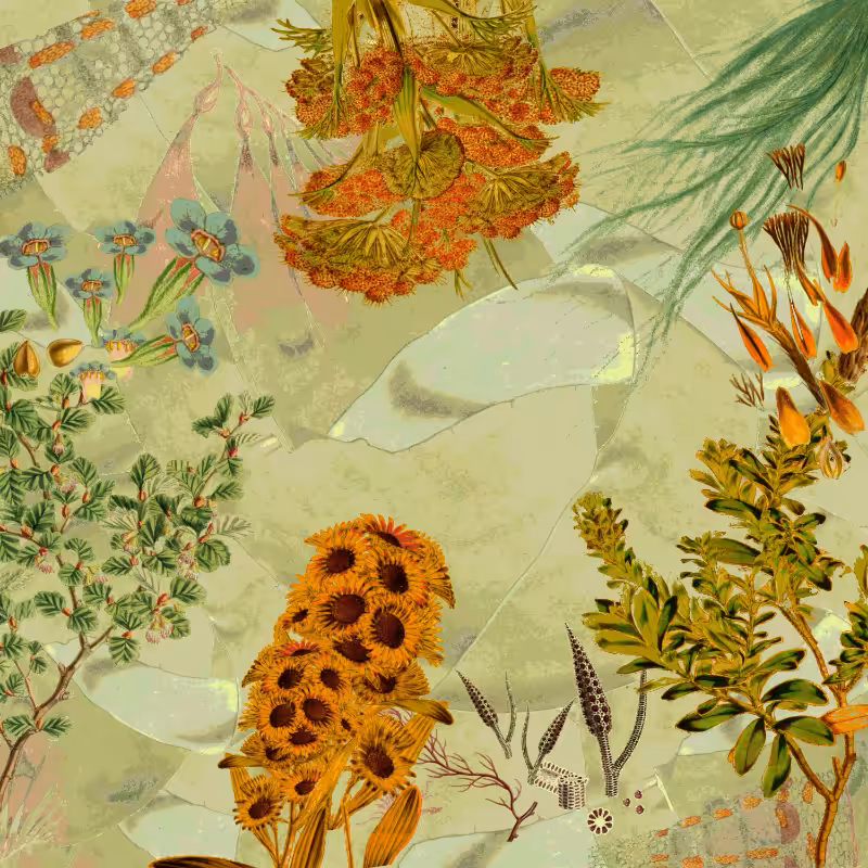 future flora from Antarctica's past #7
