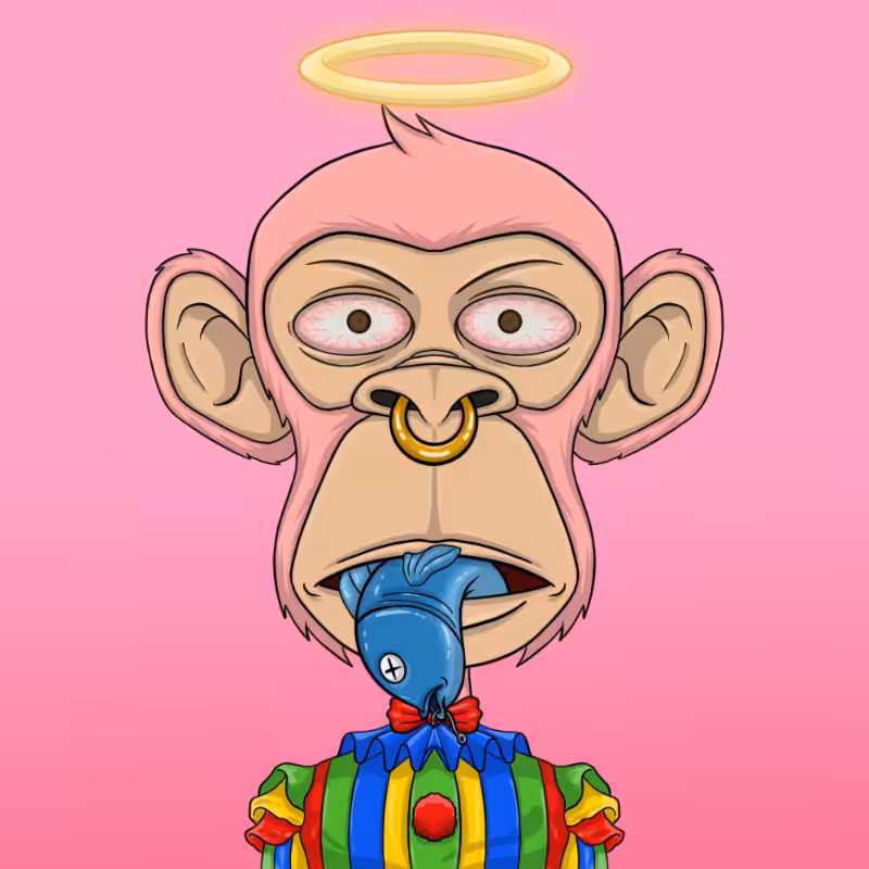 chimpantez #608