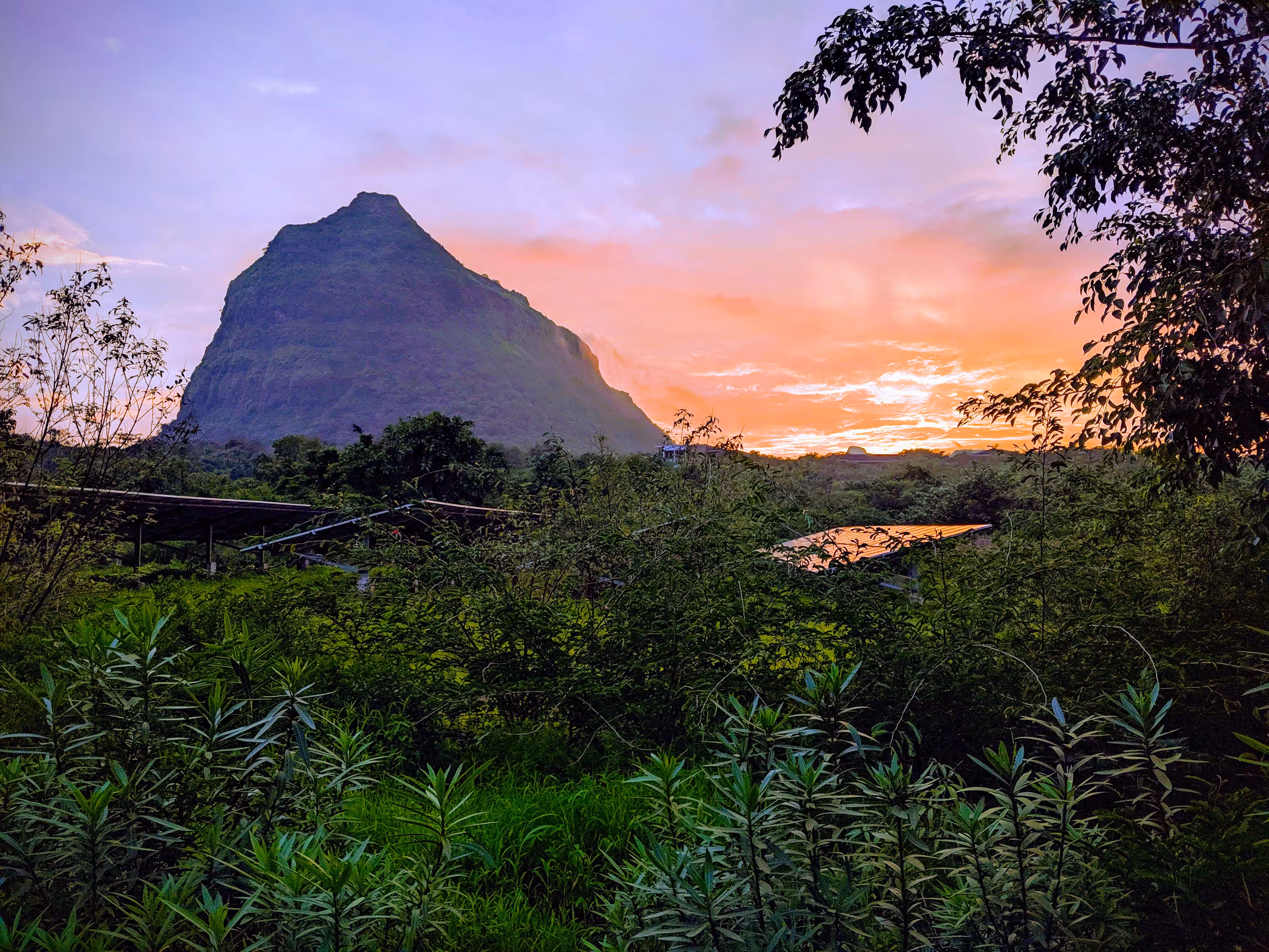 Lonely mountain
