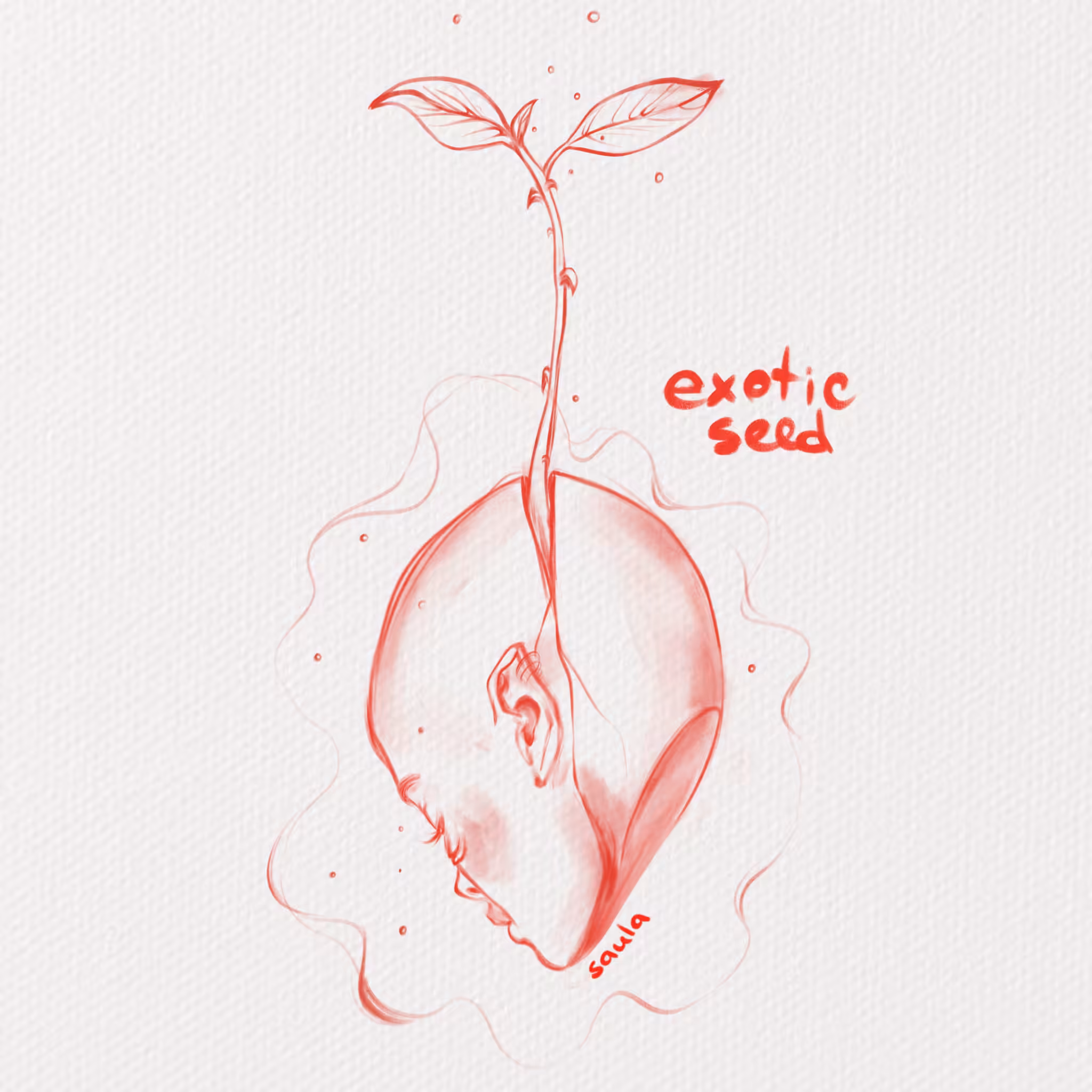 Exotic seed