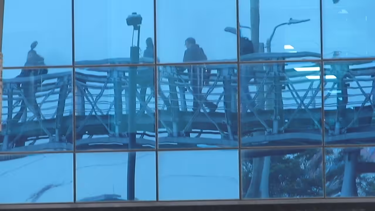 Pedestrian bridge