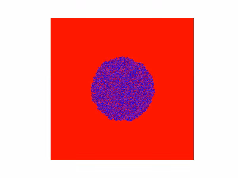 Brain Slice #23