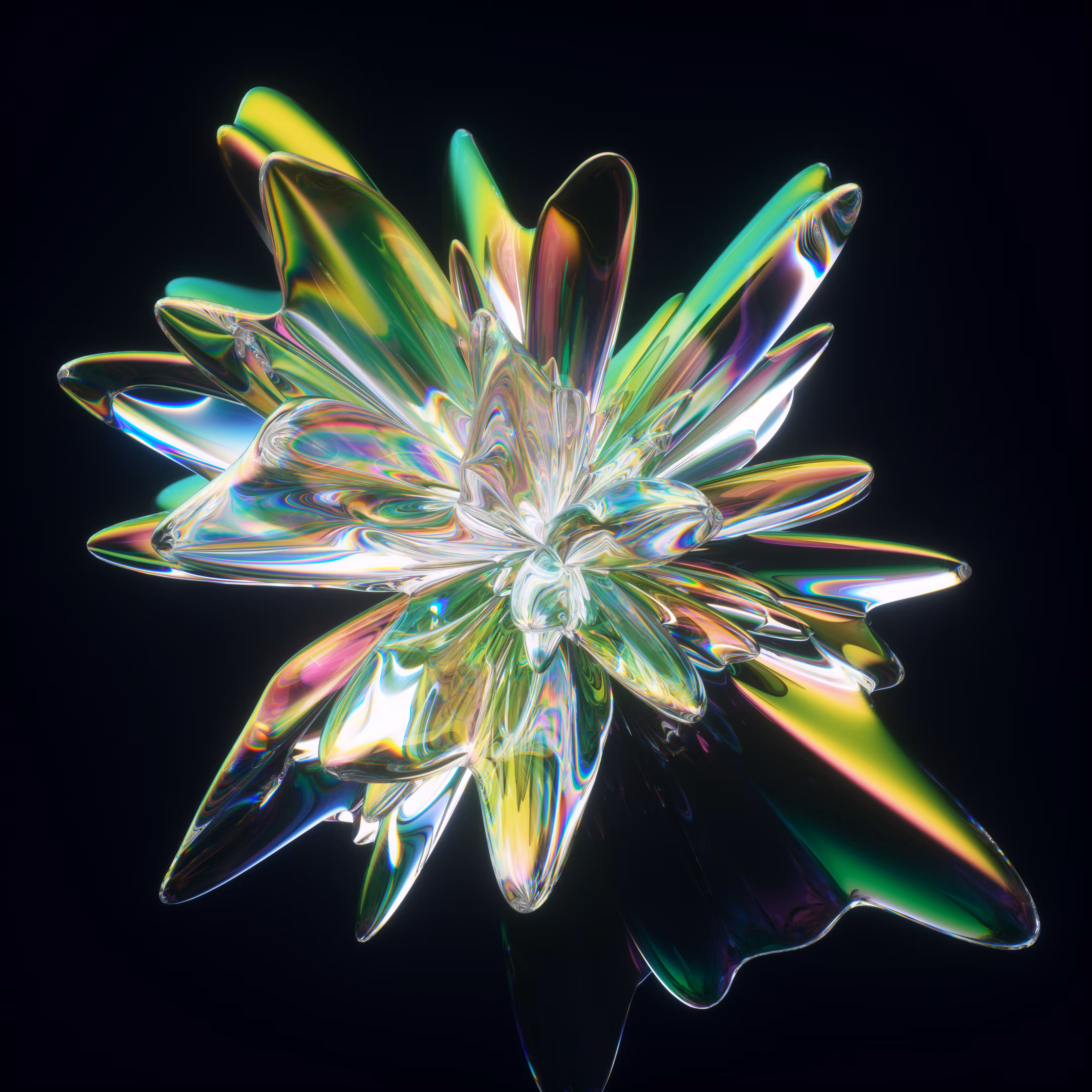 Burst 009