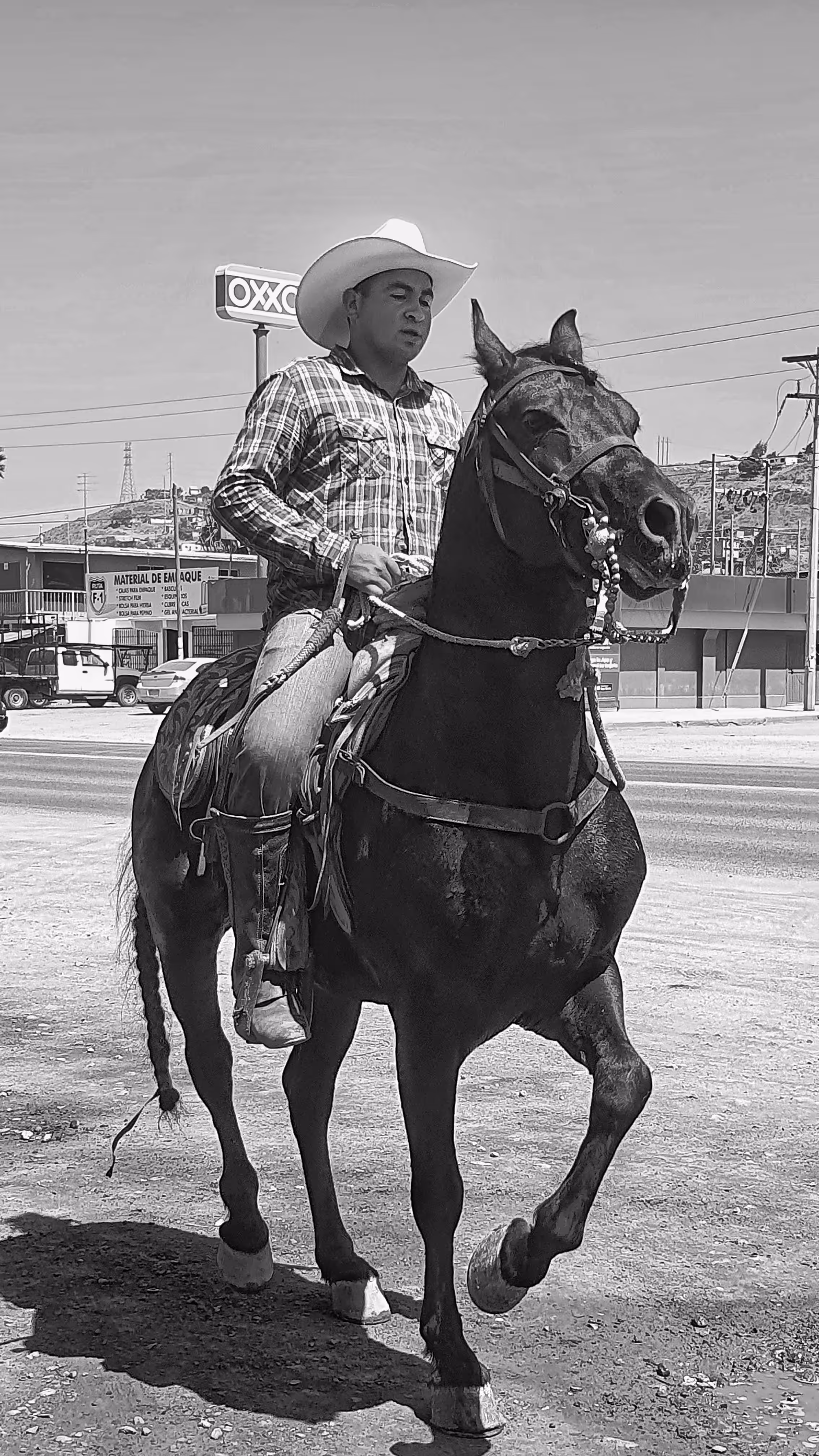 Mexican Cowboy