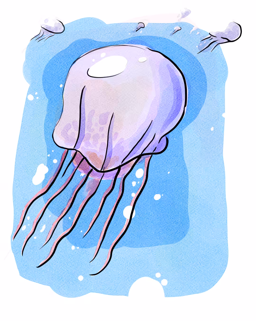 Jellies