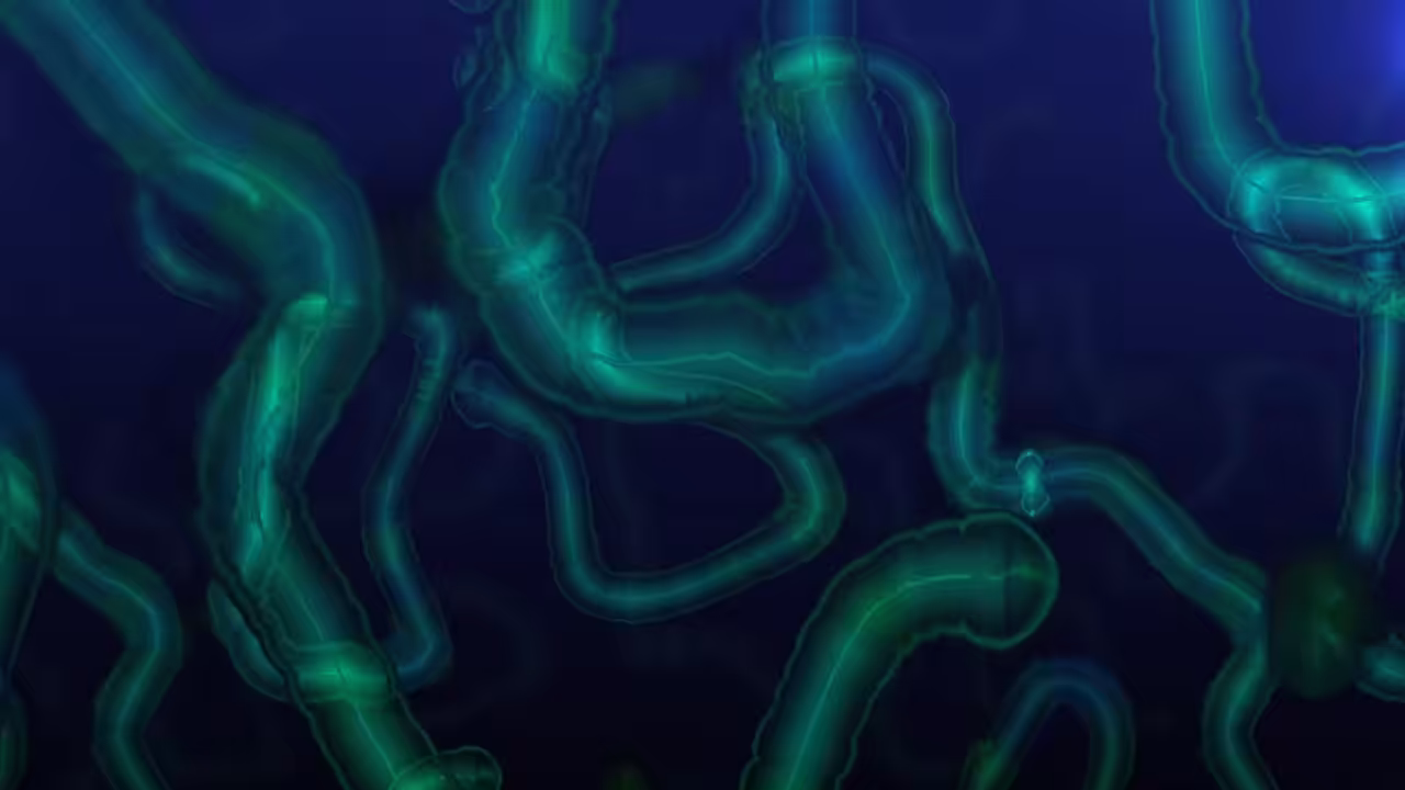 Microcosmos