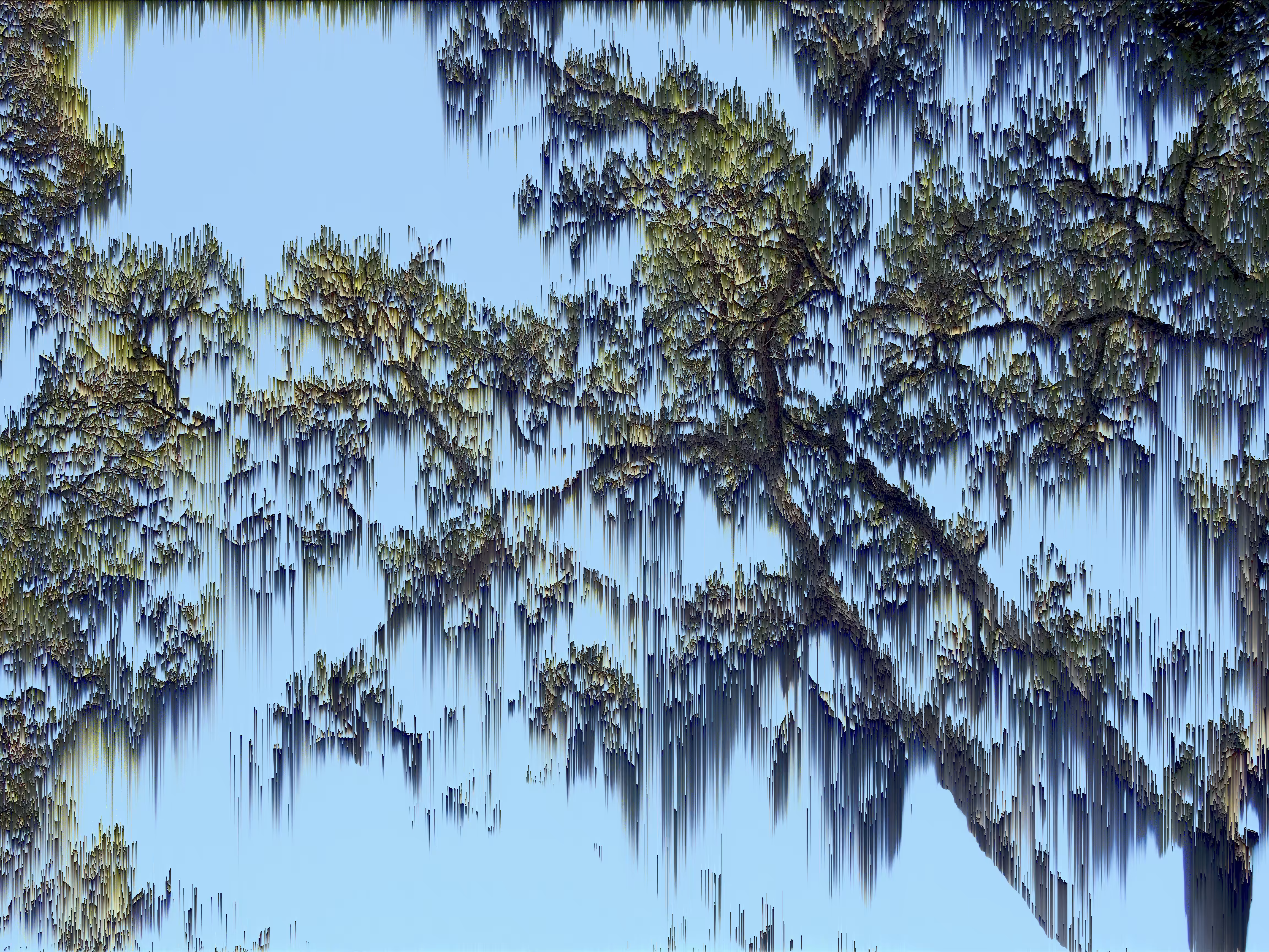 Tree Pixel Sort 3