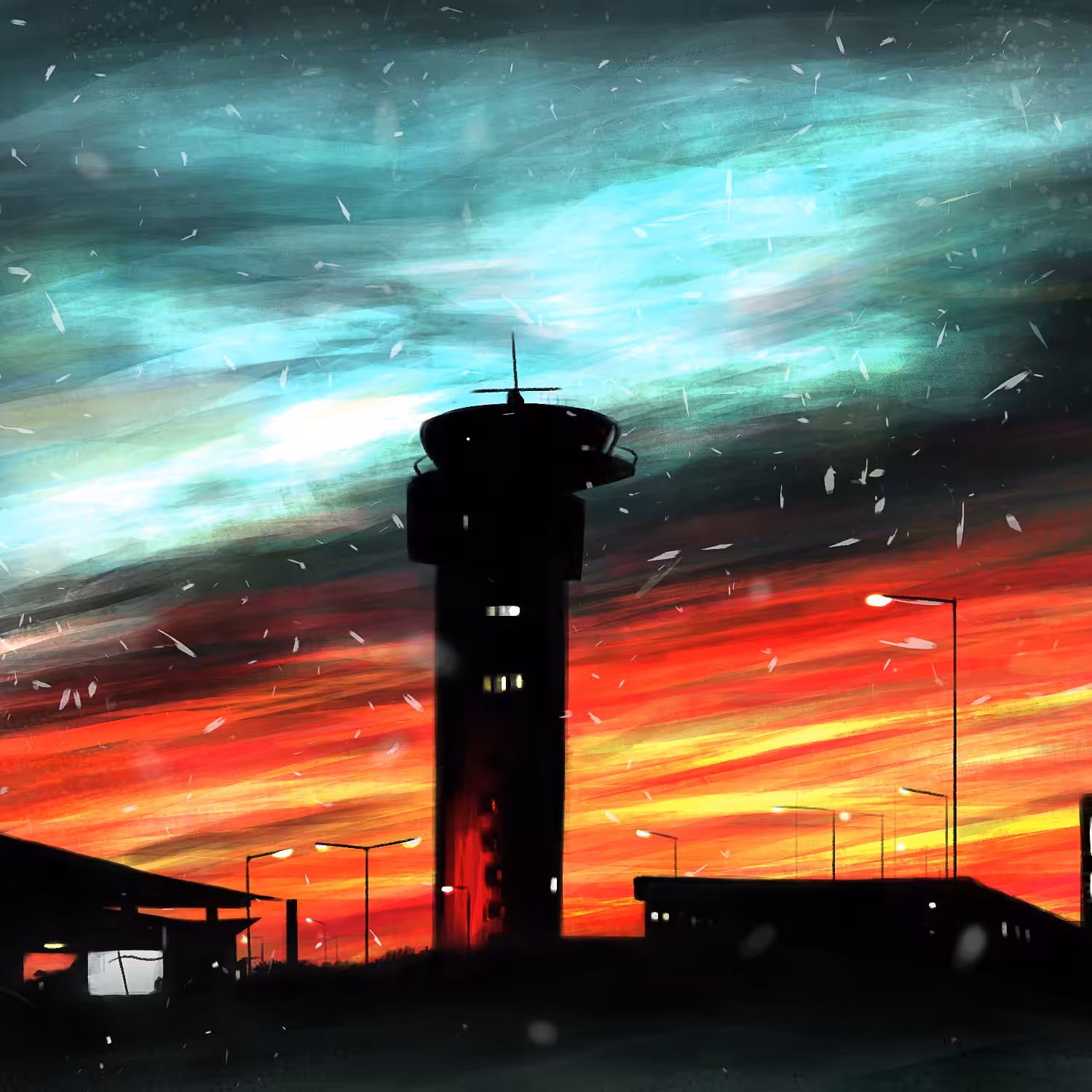 The Snowy Airport