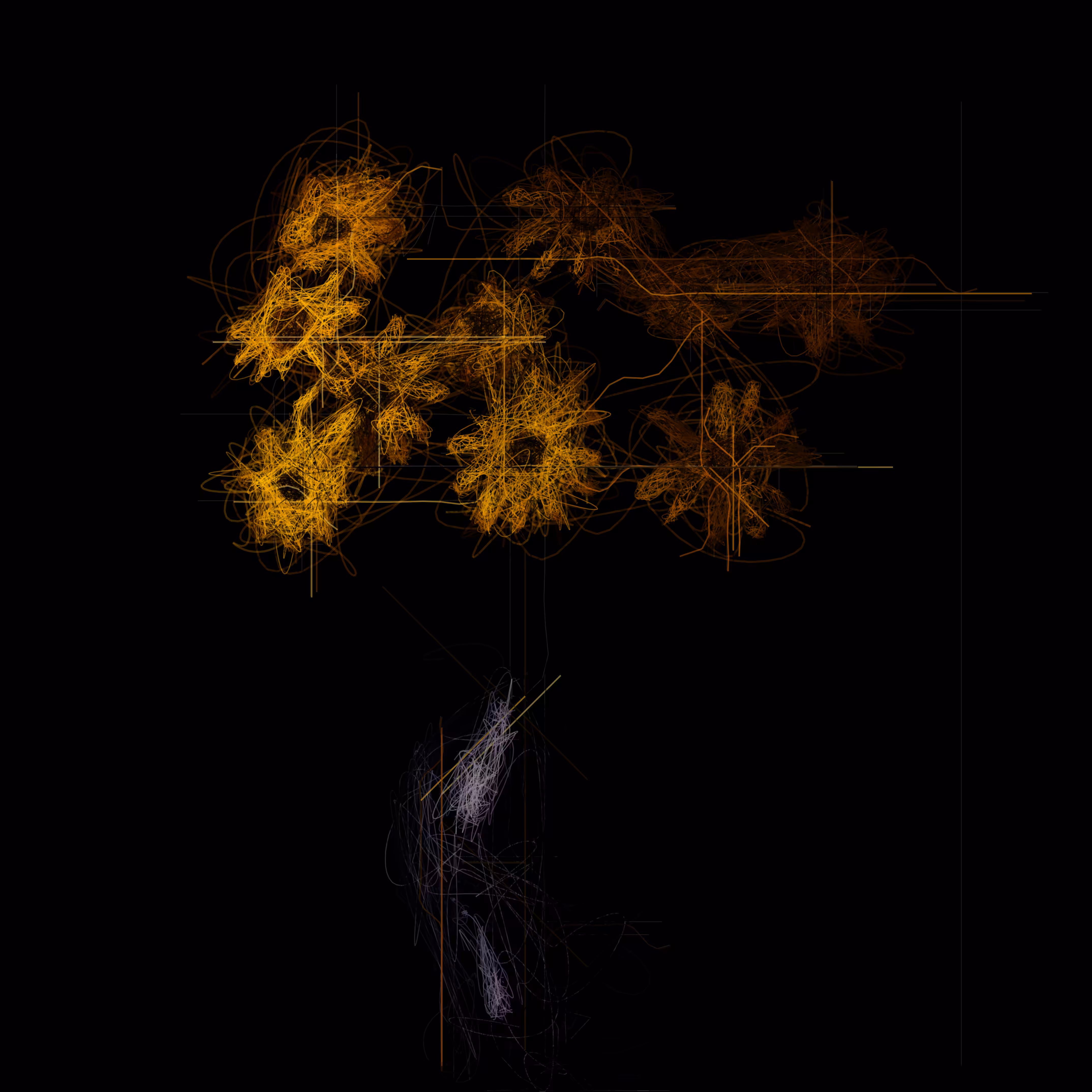 Golden Marguerite I