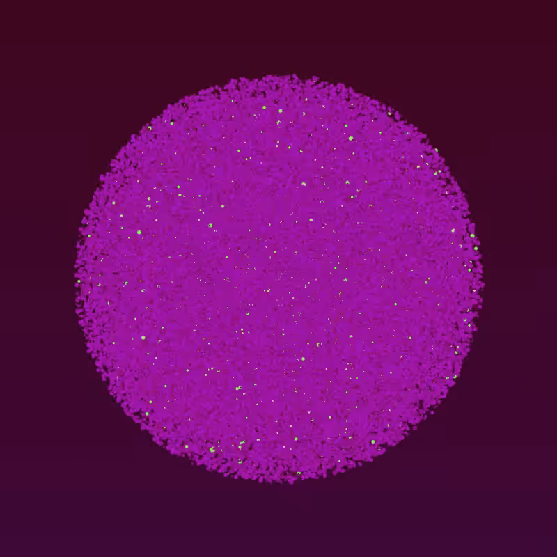 Coalesce #158