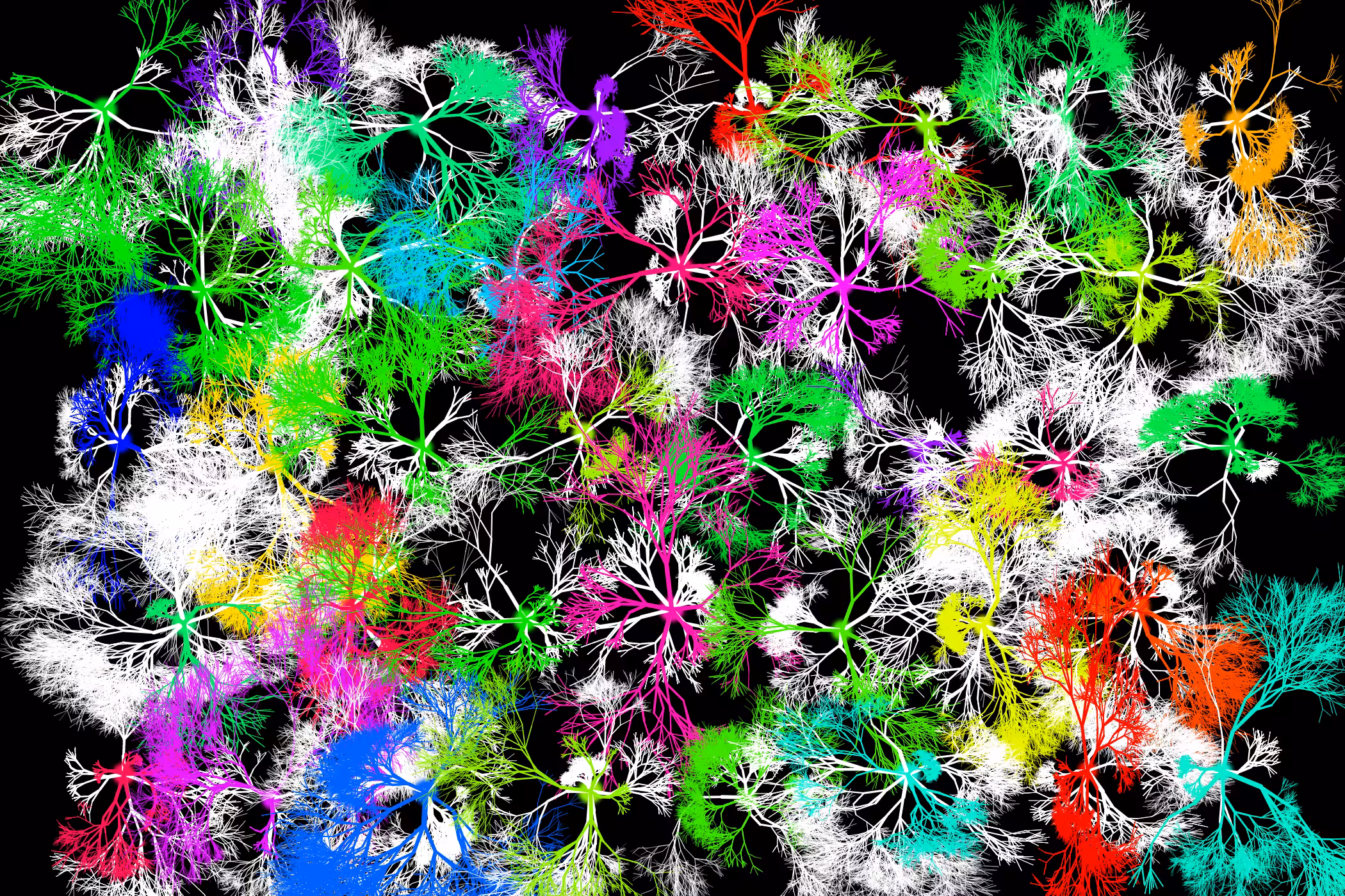 Phuz Tessellation #1