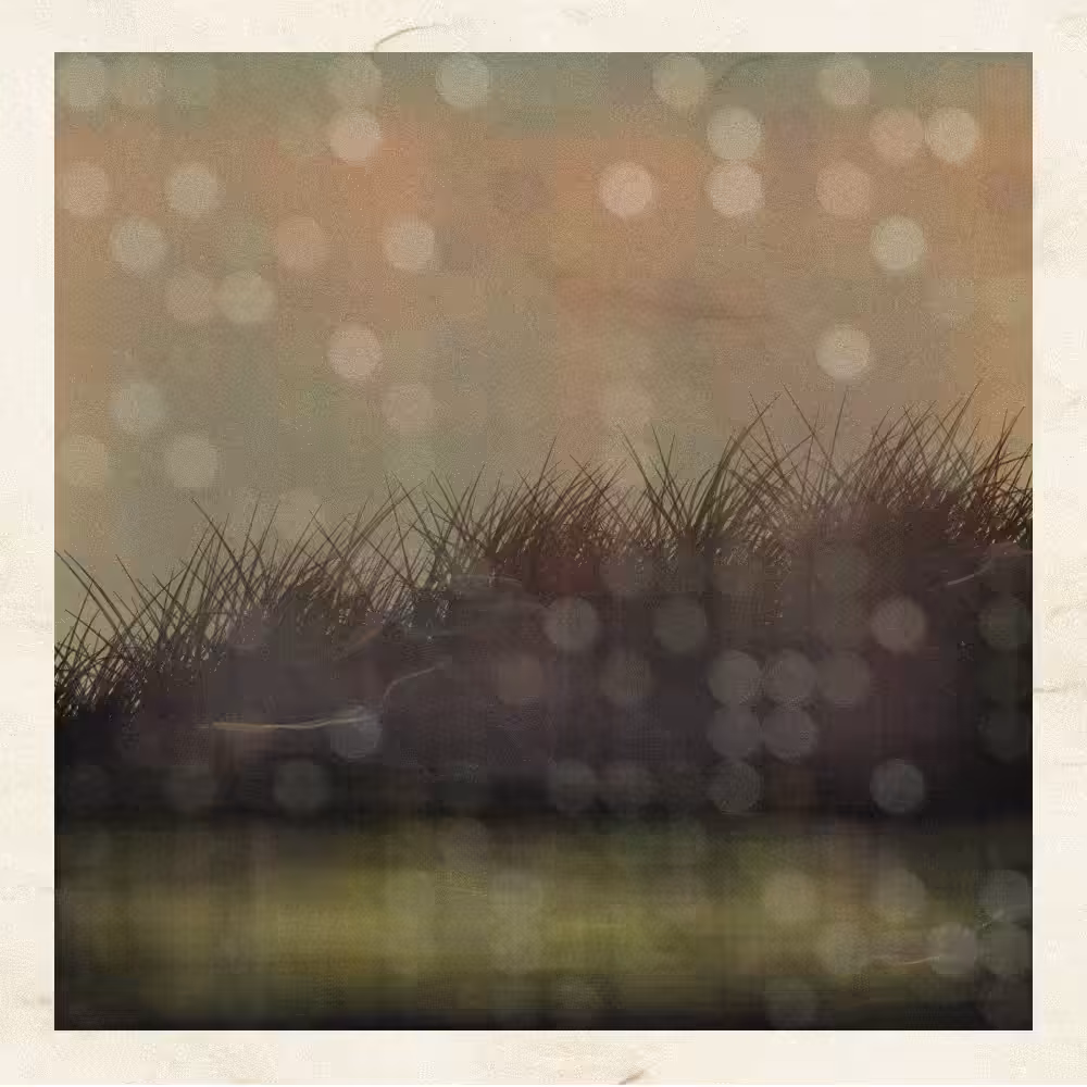 Self-reflection #2