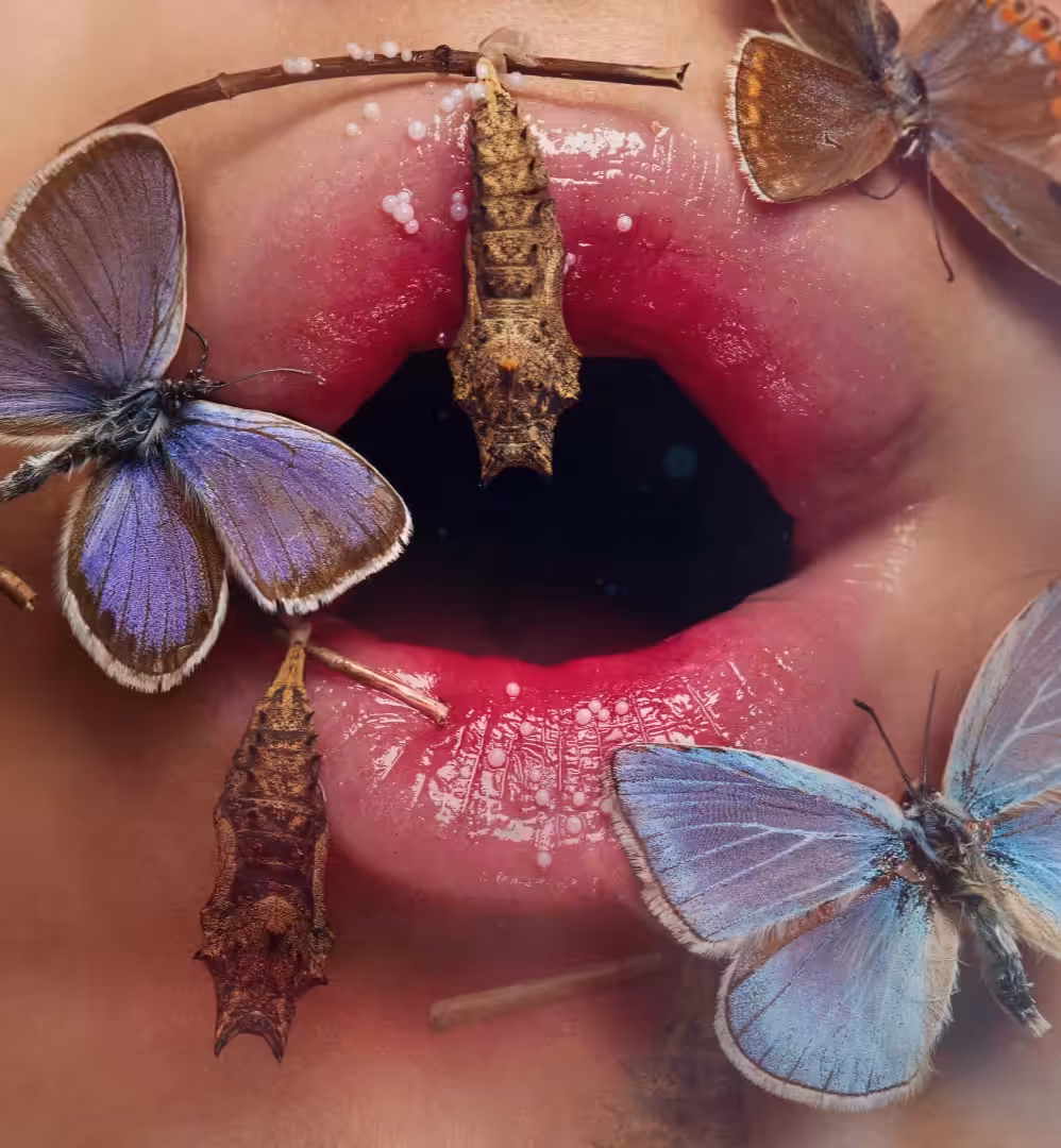 Chrysalis