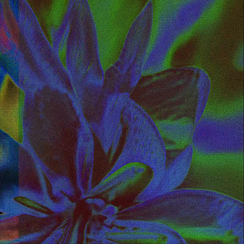 CLDCSMC #114