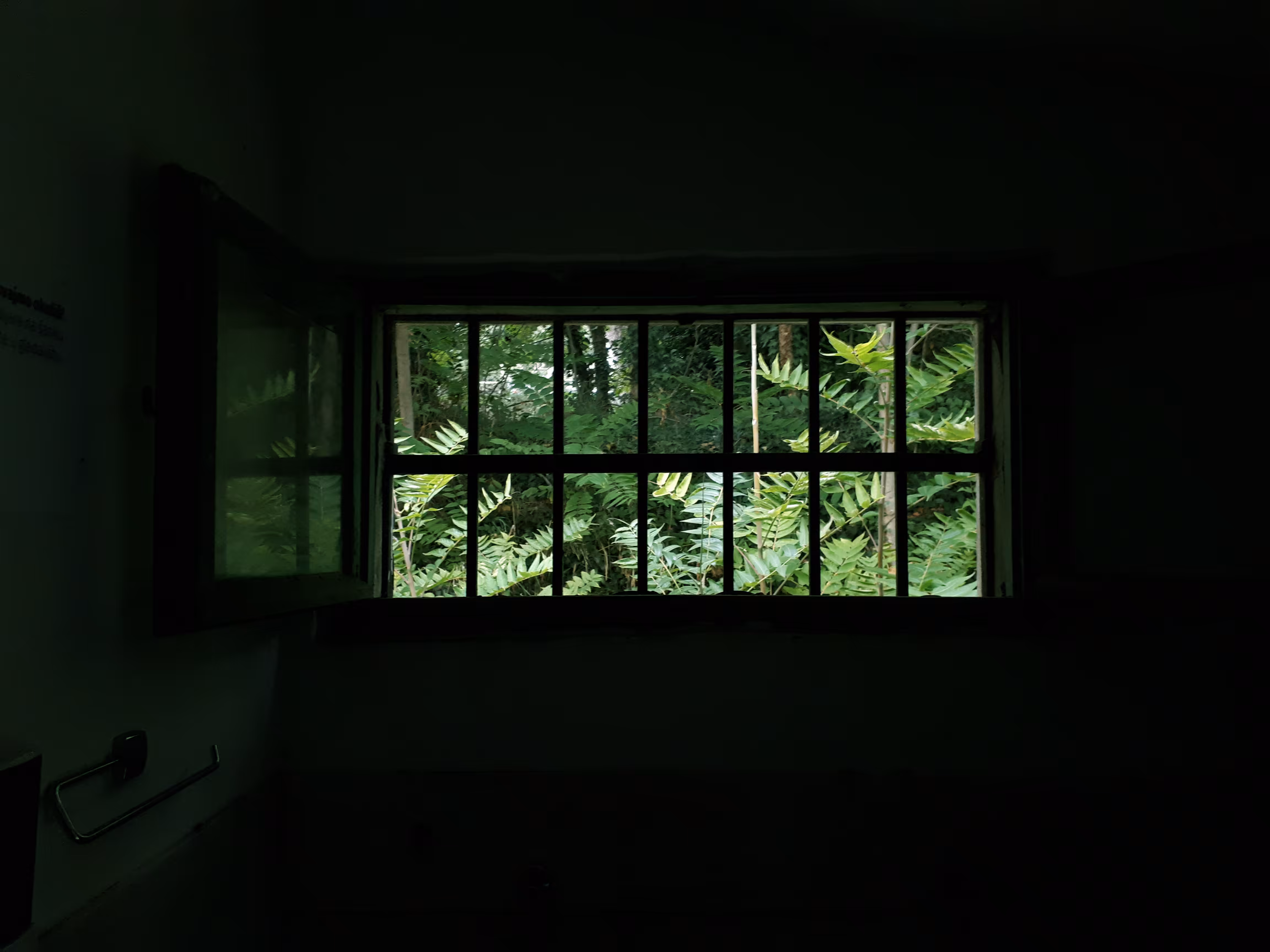 window