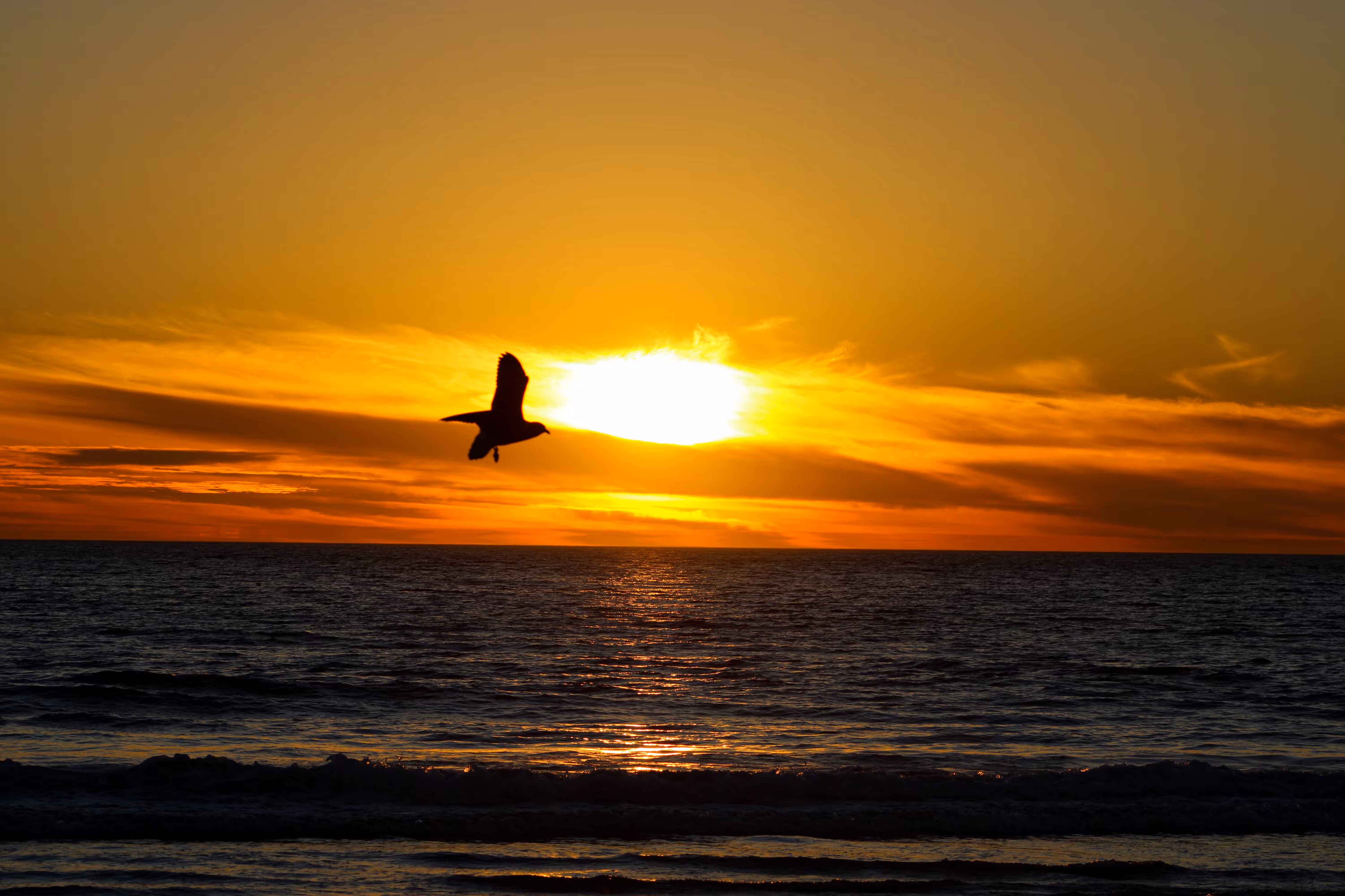 Off to the Horizon