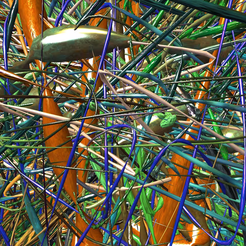Prismatic Thickets #6