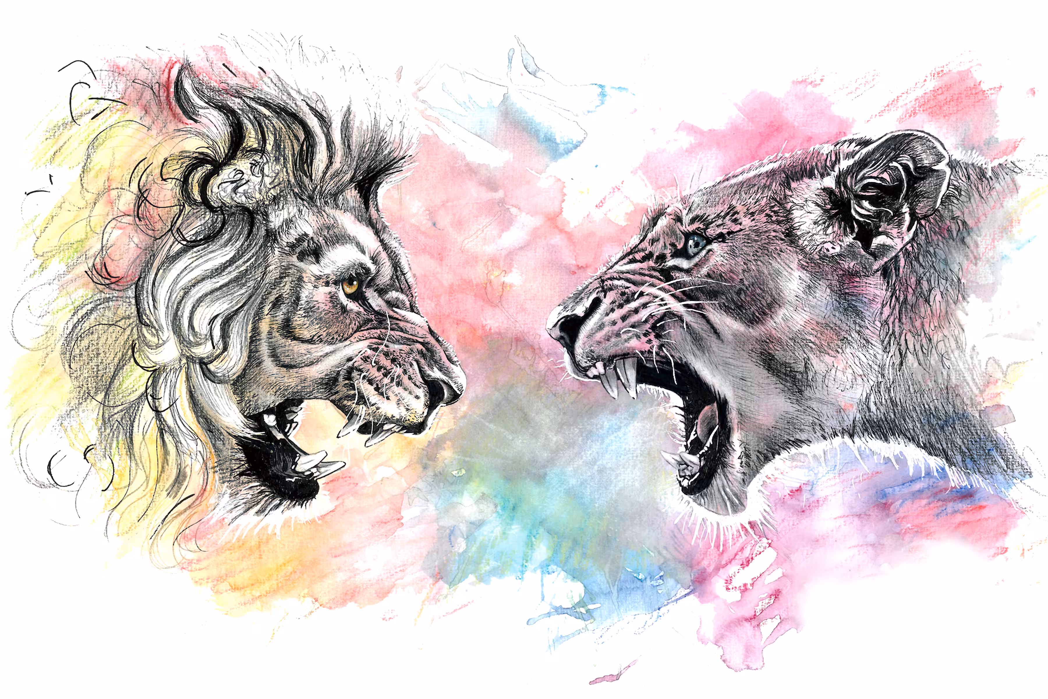 'We Roar'