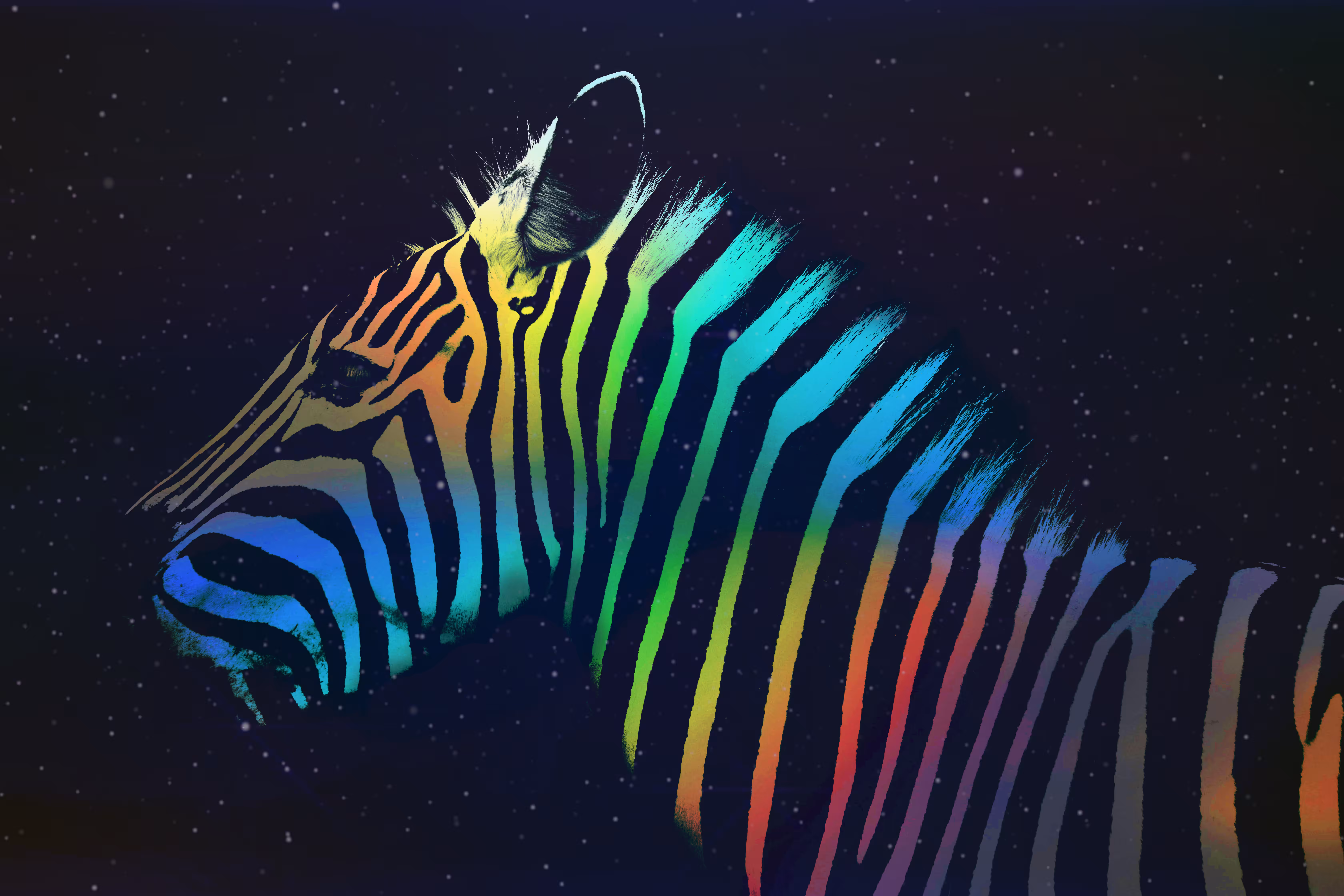 Trippy Zebra