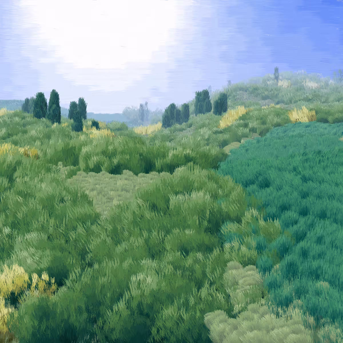 Provence #152