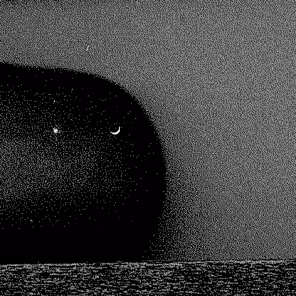 The Night