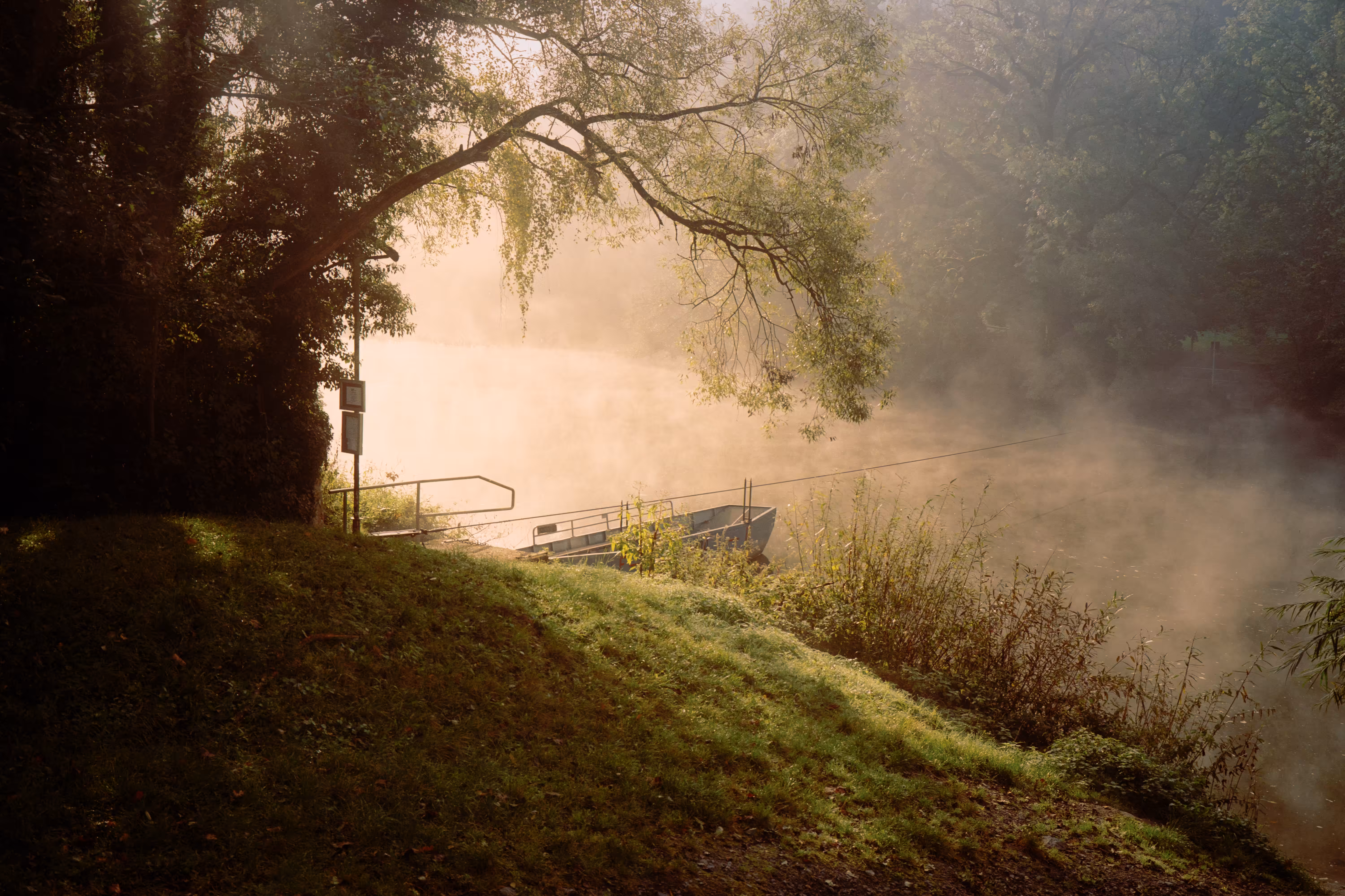 The Bridge of Life