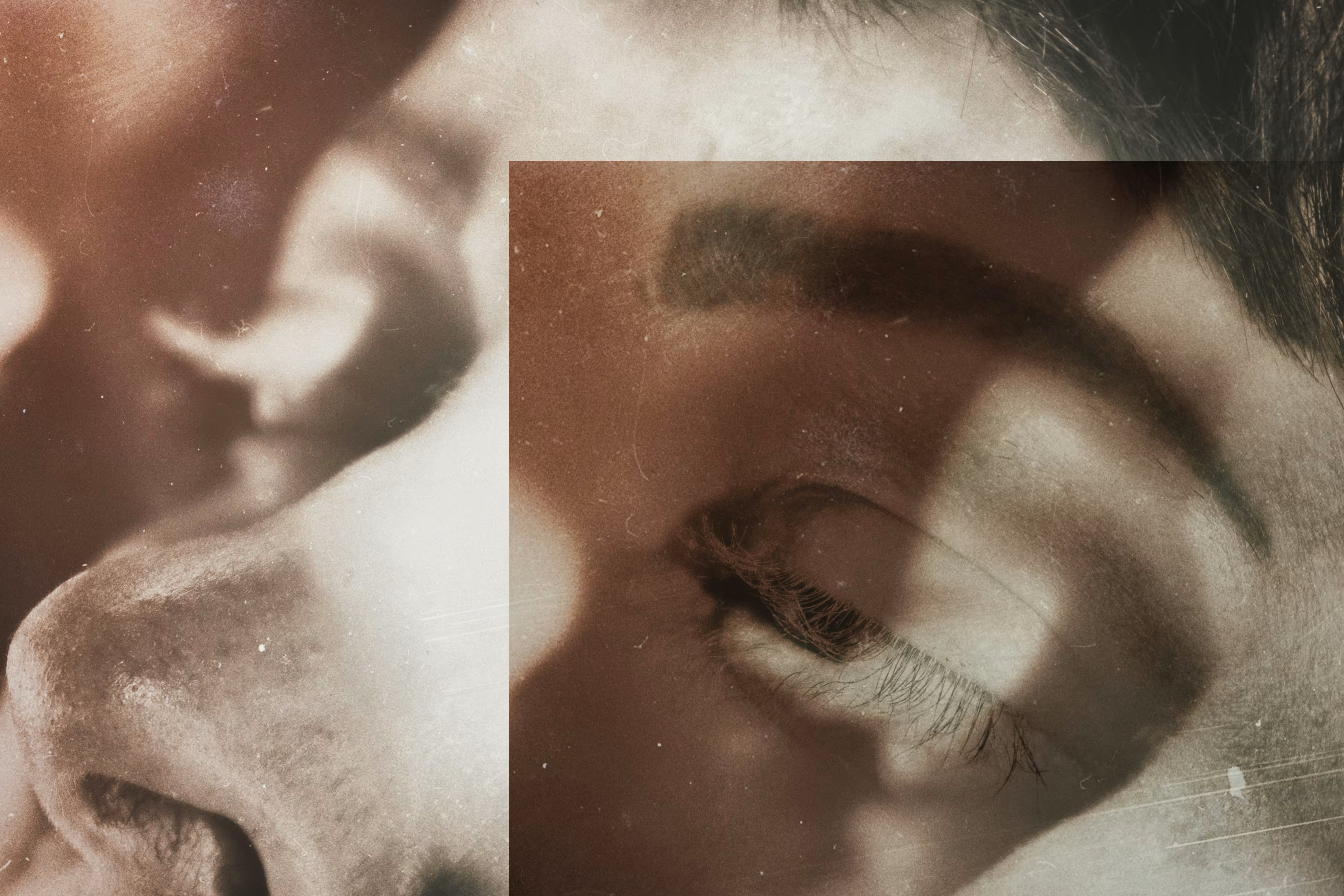 untitled close up