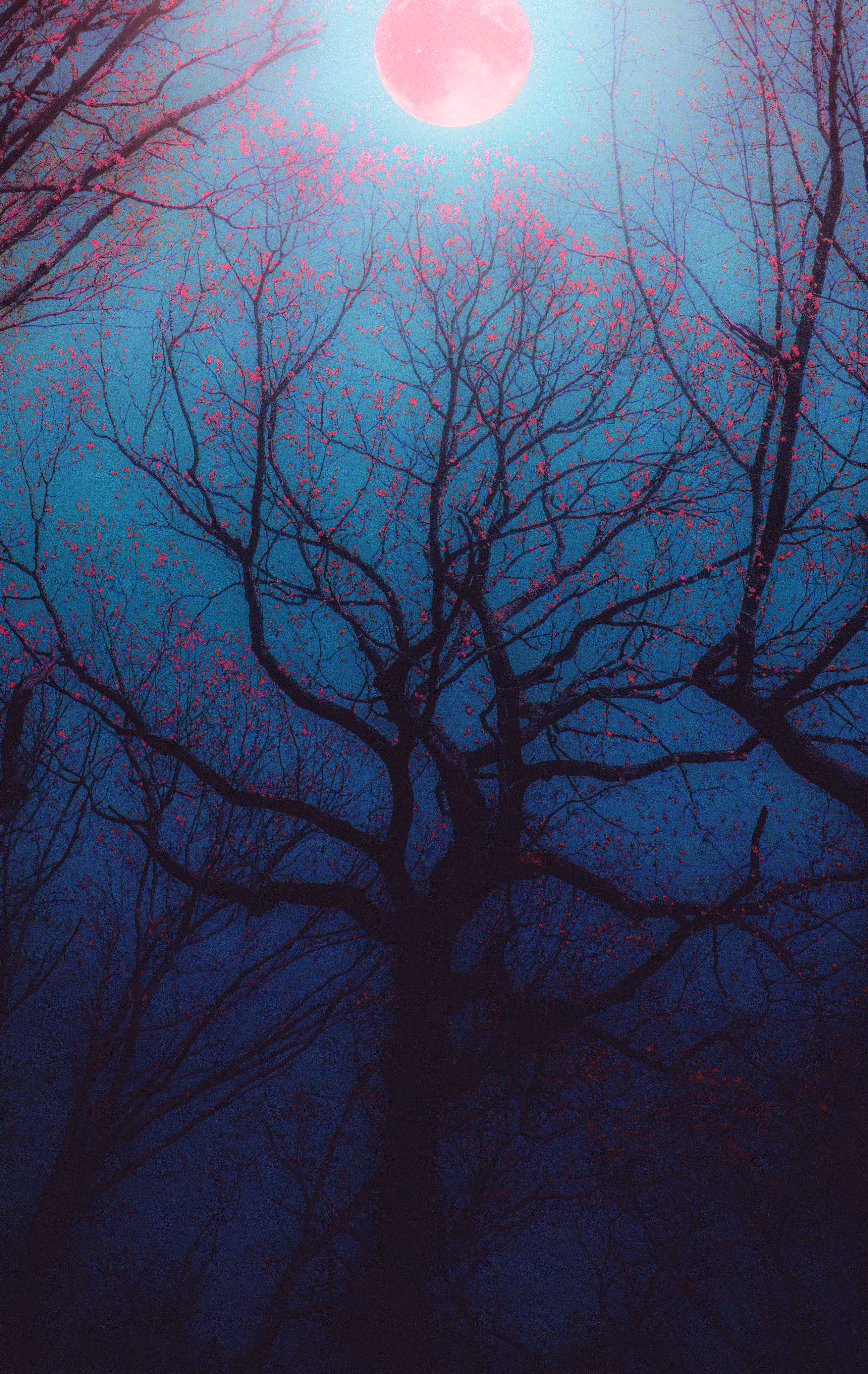 The Crimson Heartwood: A Chalice For Blood & Souls