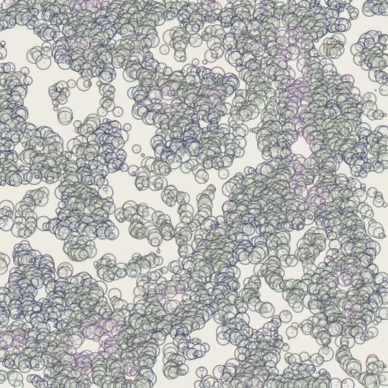 Petri 1500 #575