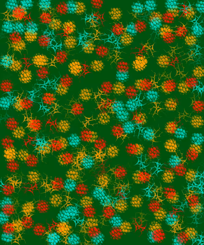Blackberries #1