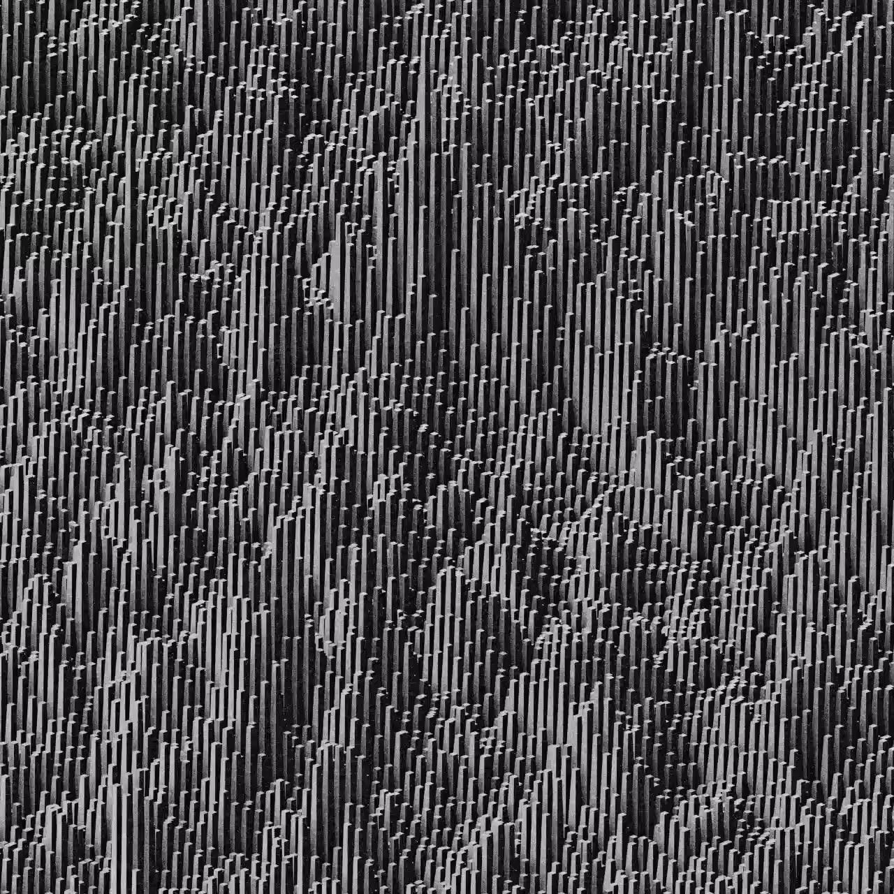 NScape 01