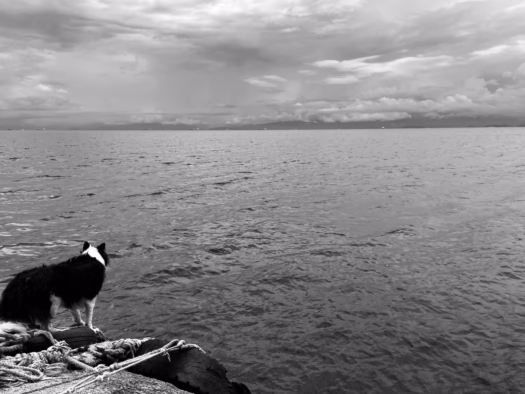 Ilha 