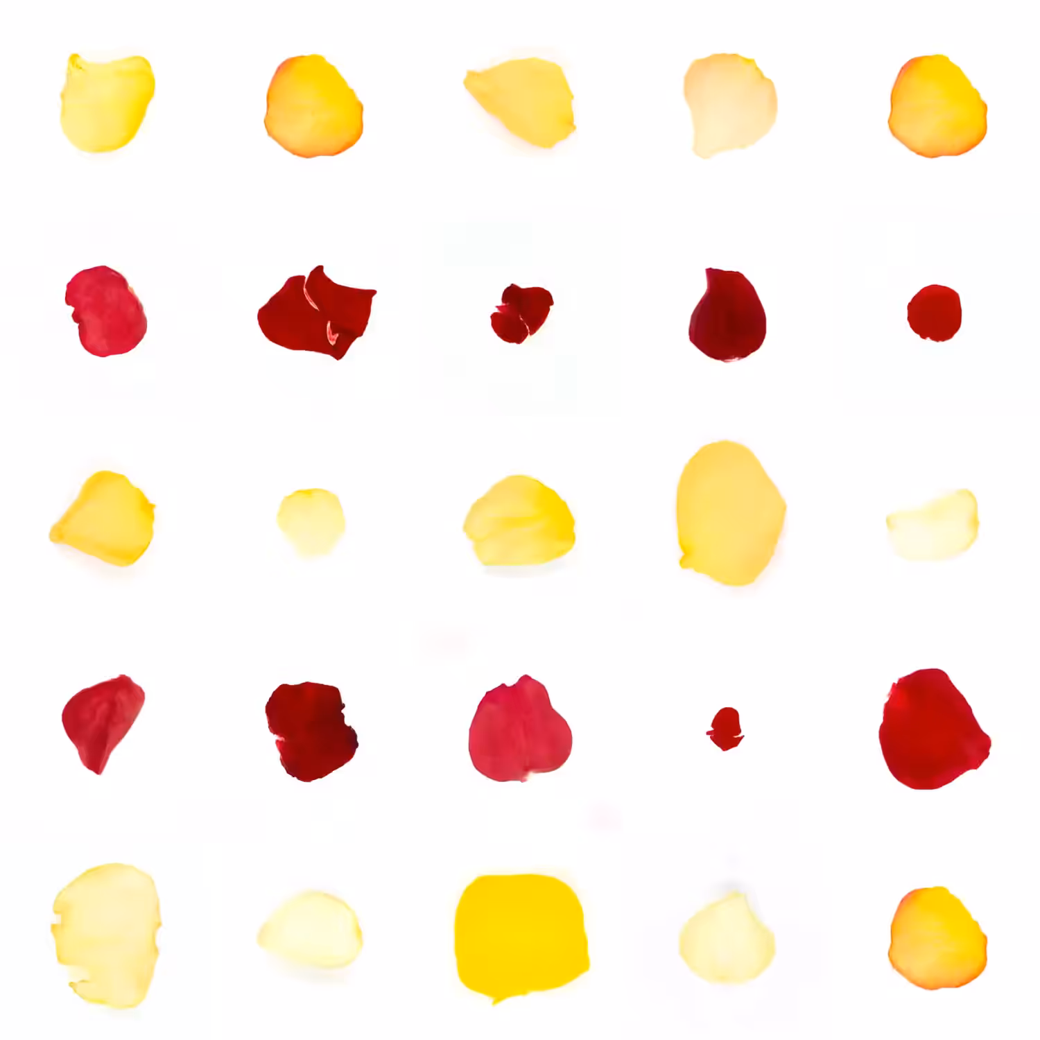 Infinite Petals 5x5#20994