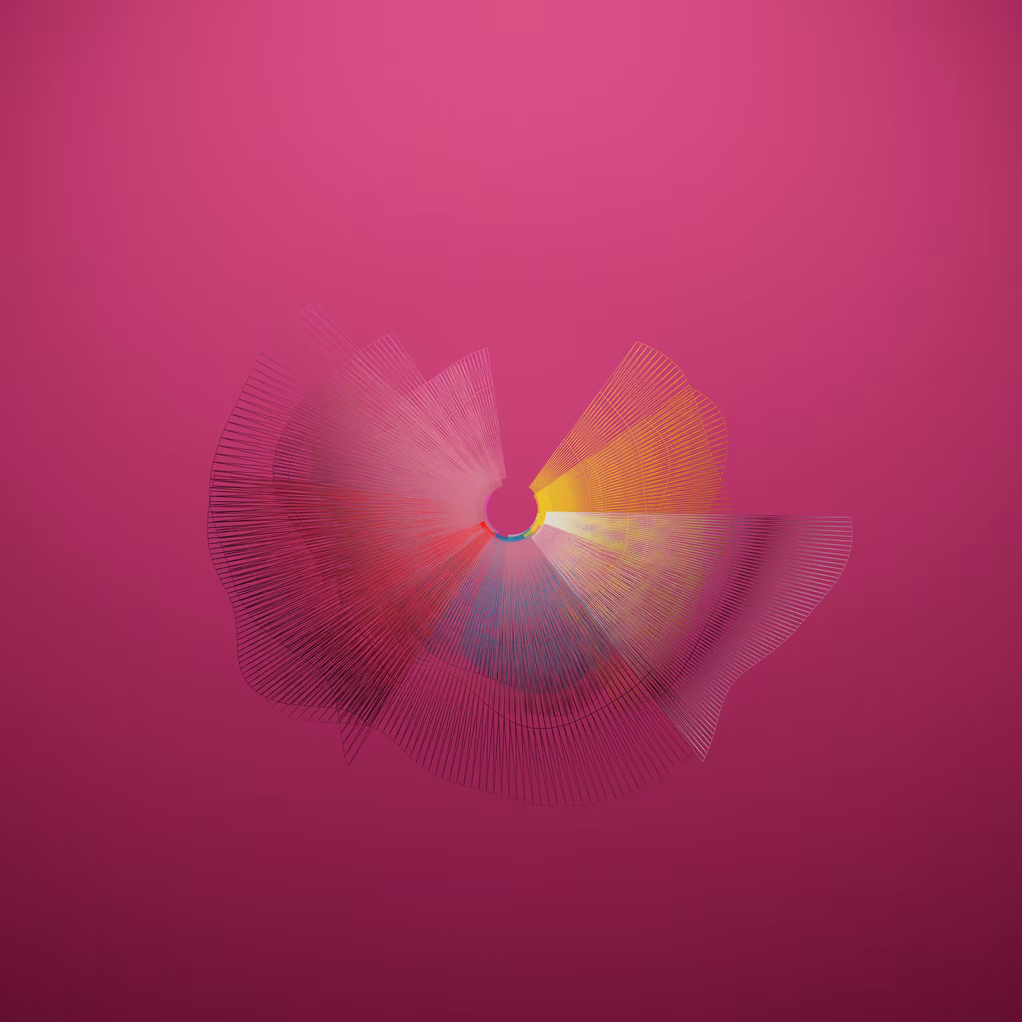 Supernova poppy #79