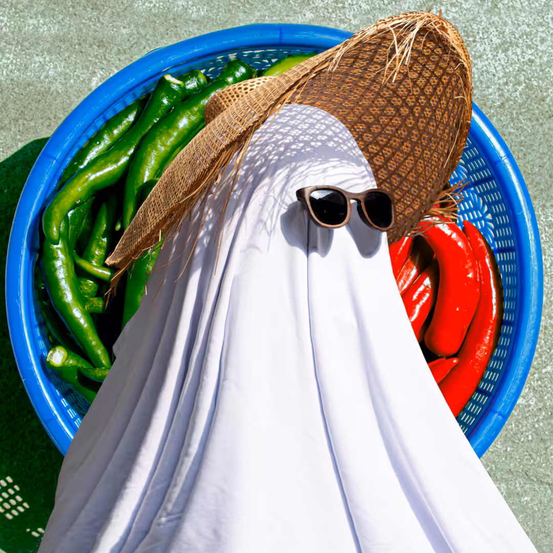 Anonymous Ghost #478 by Agung N. Wibowo