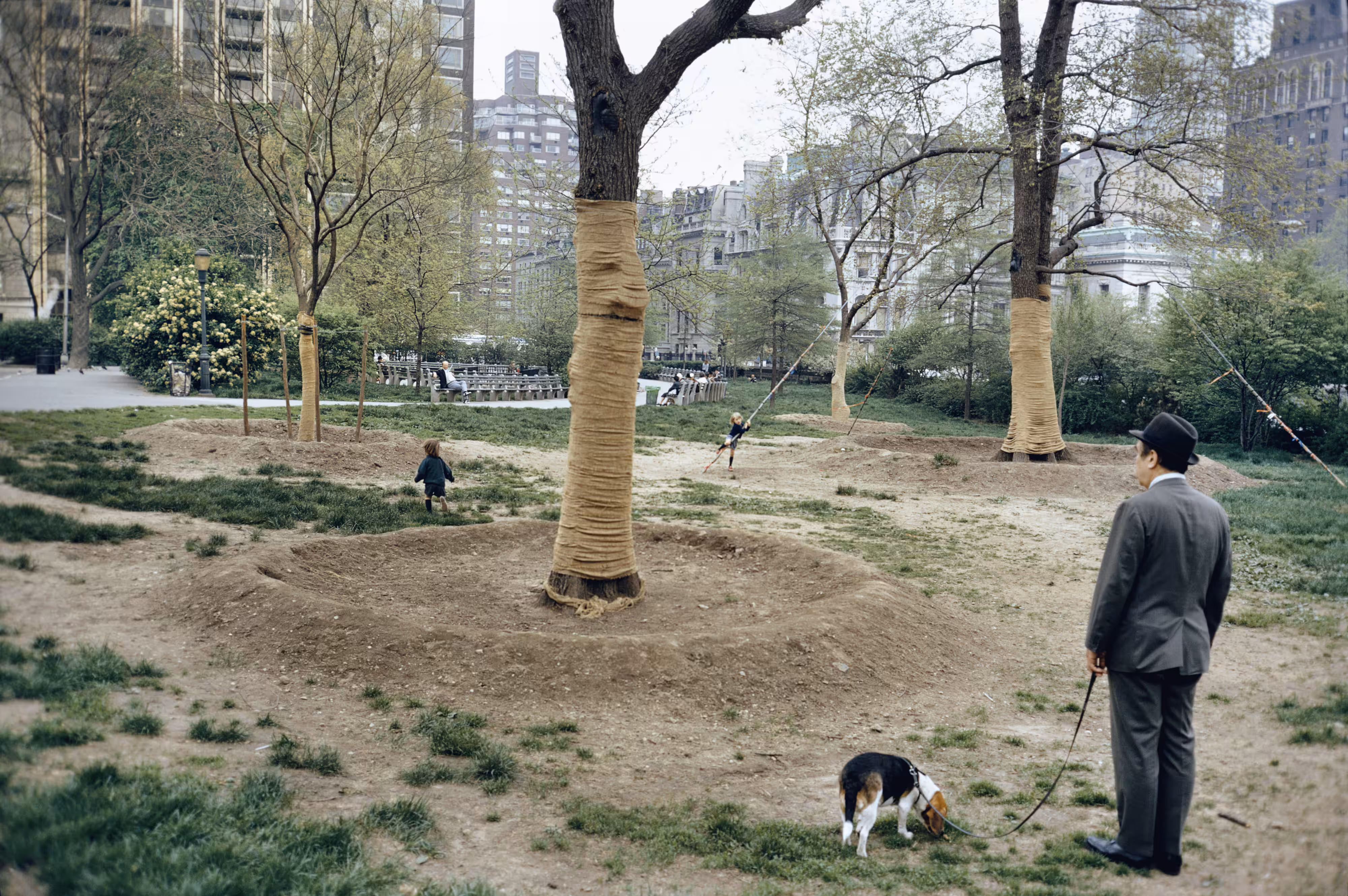 Central Park, New York City II 1973