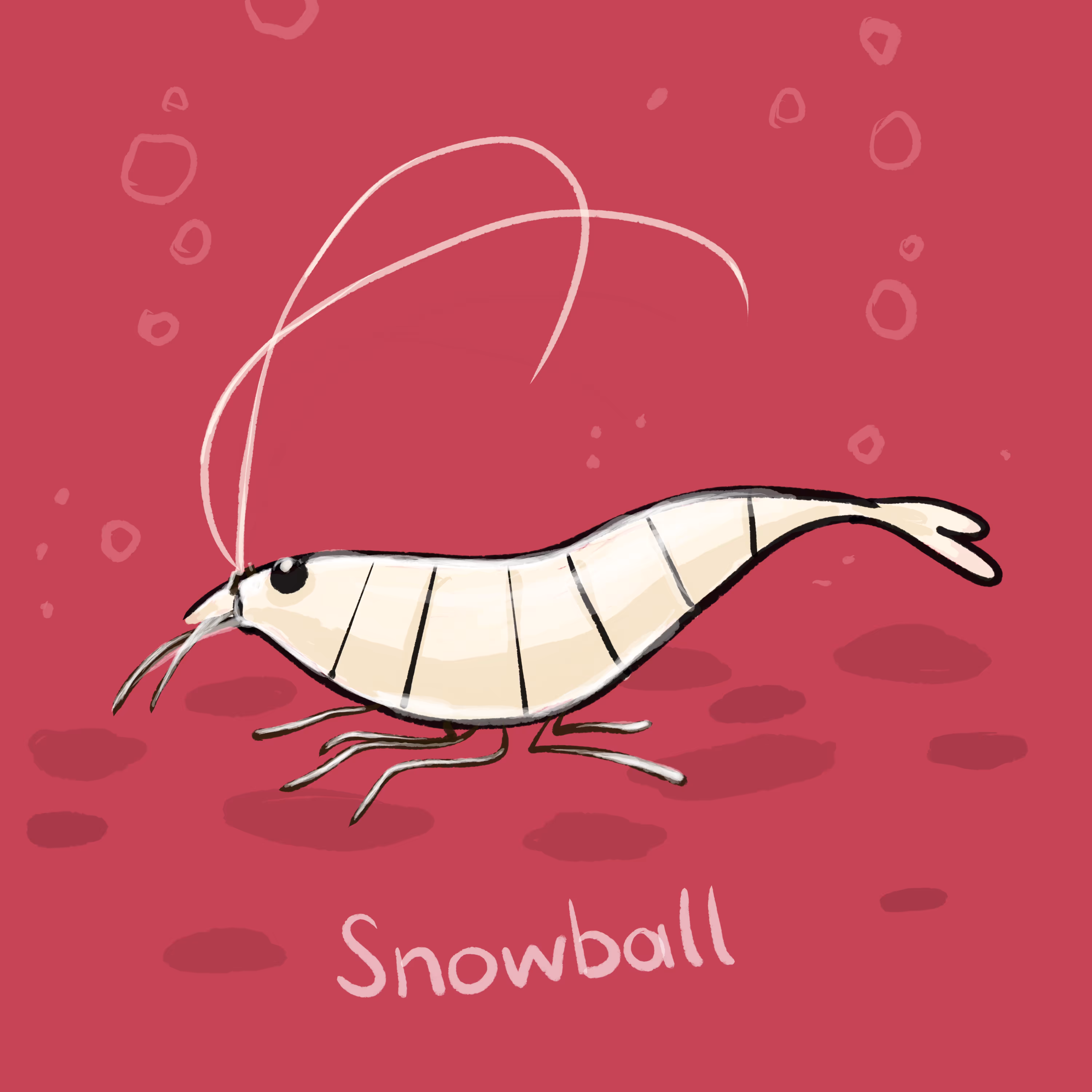 Snowball