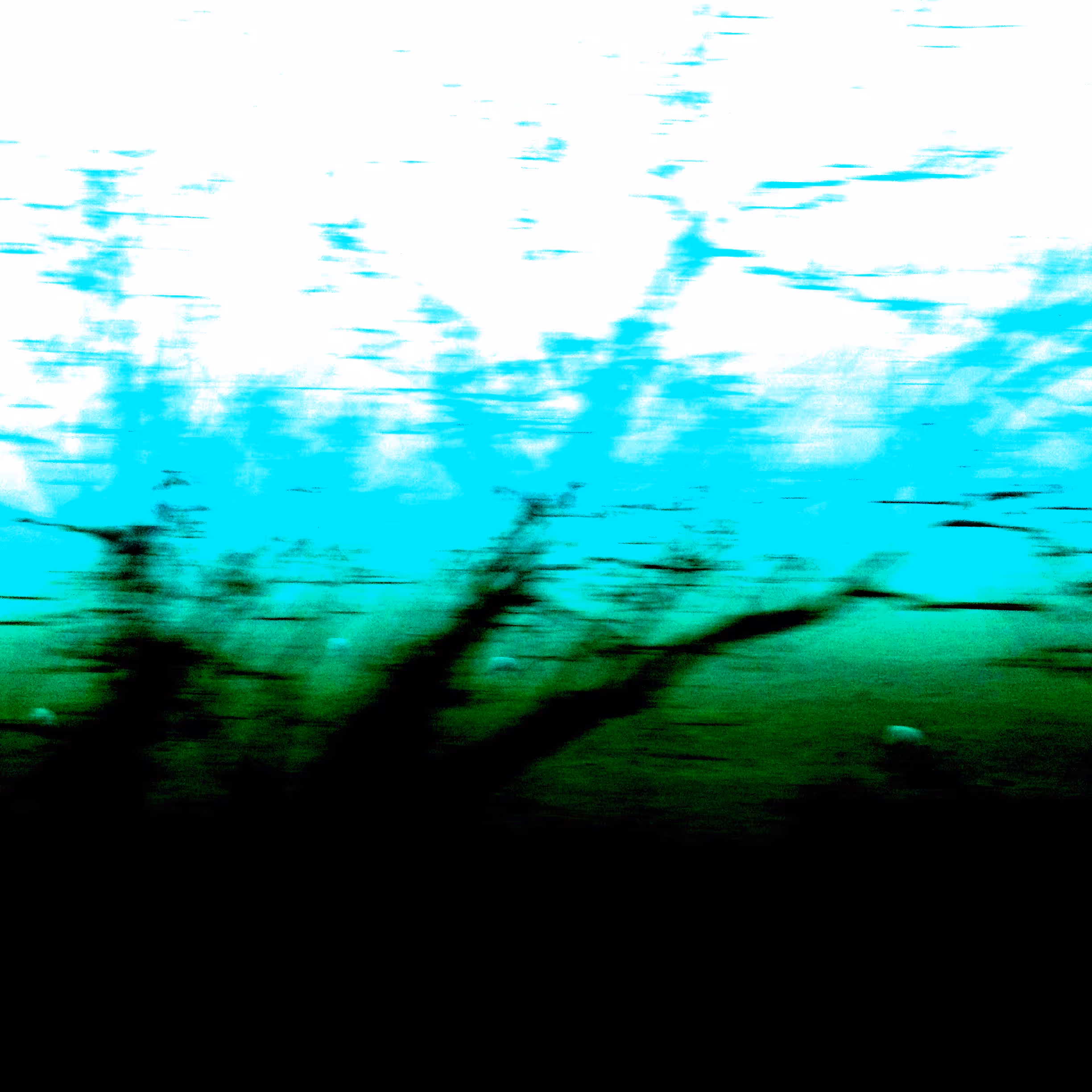 FELL-CLOUD #23