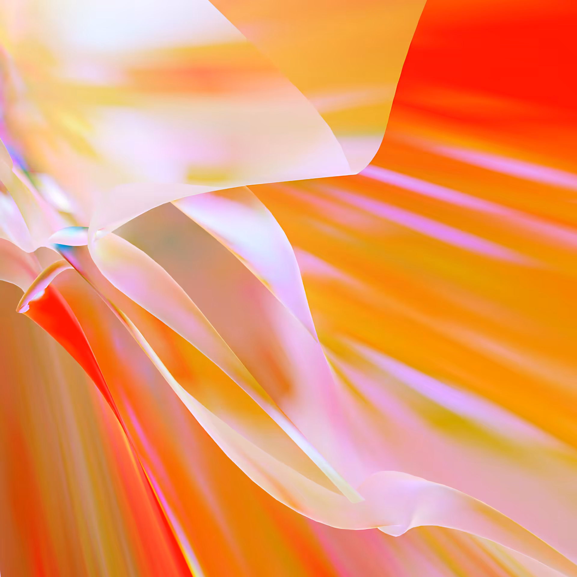 Blender Studies 029.11