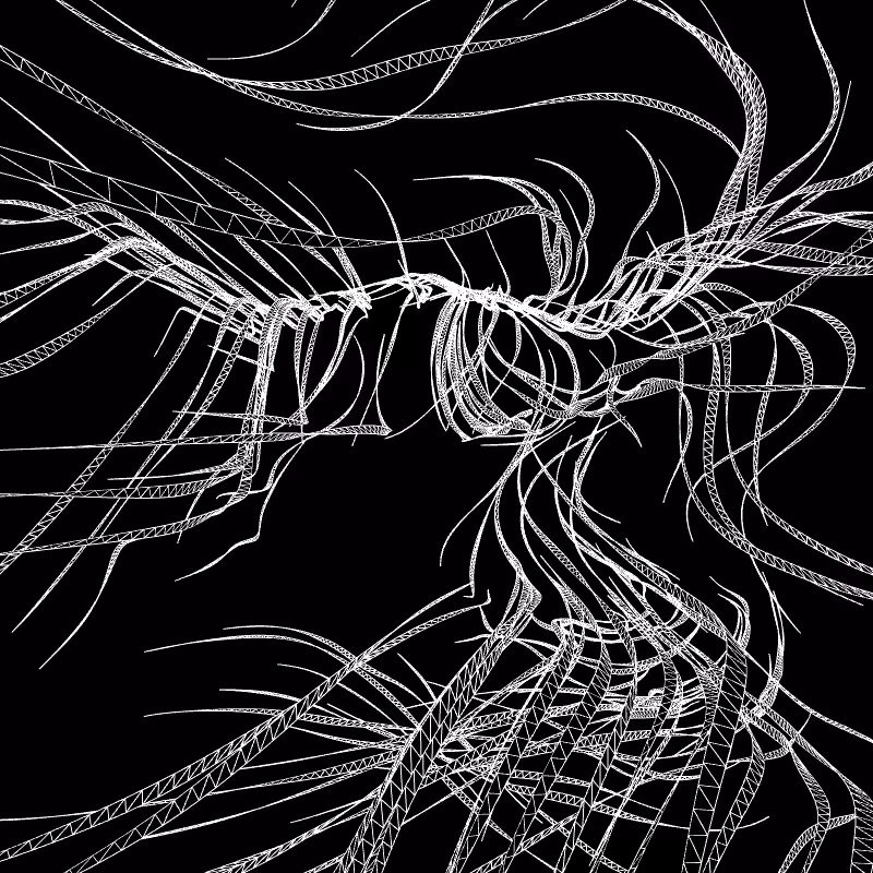 Paths of life #16