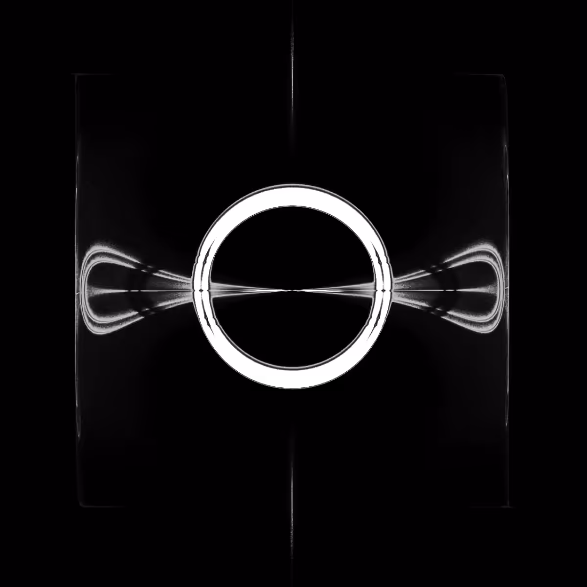 Phagocyte II