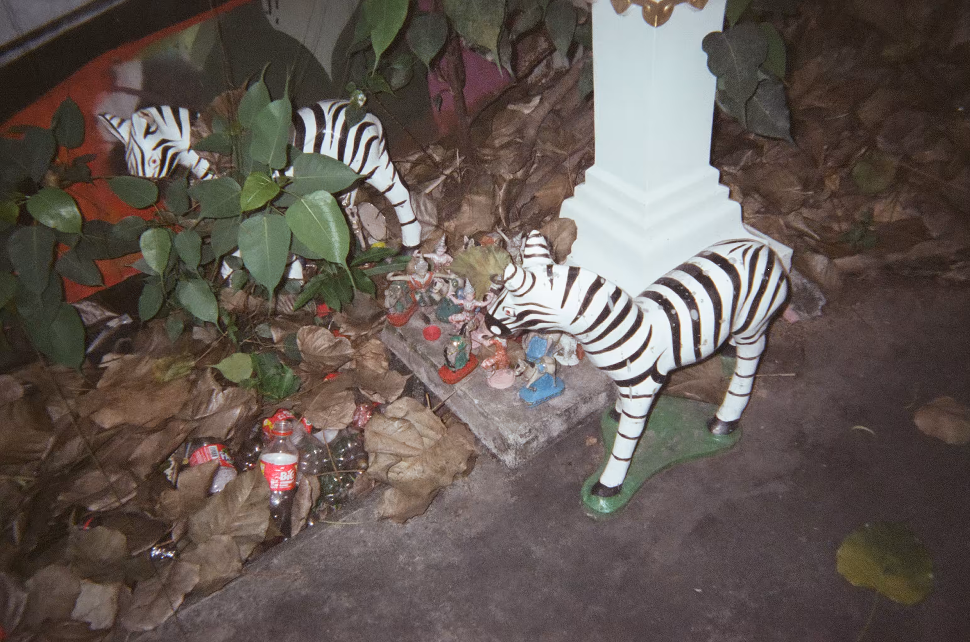 Day121- year of the tiger