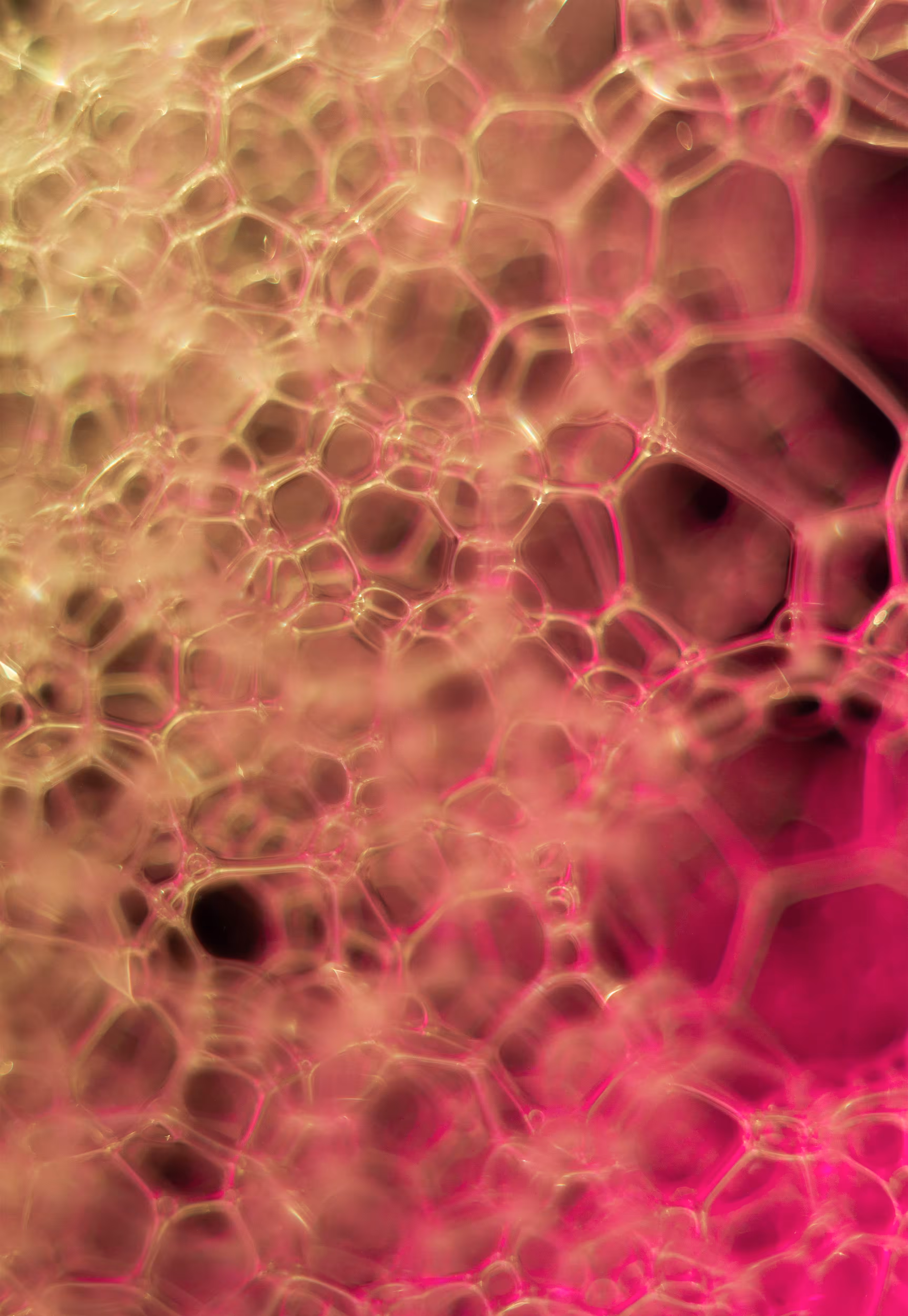 Abstract World of Soap Bubbles: #28 Bubbles