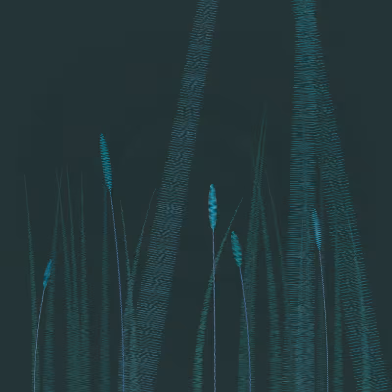 ZigZag Garden #48